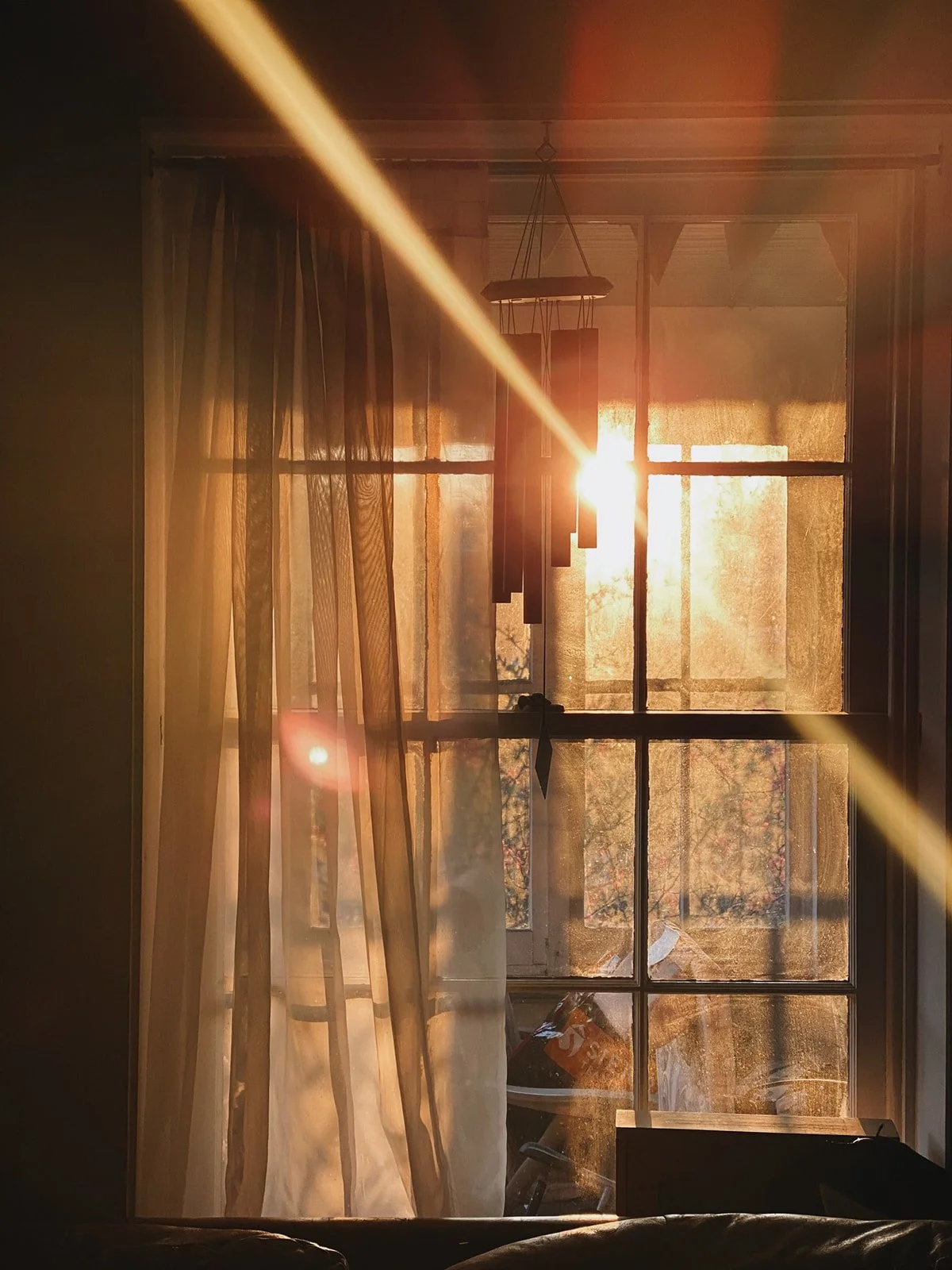 92429720_10157353819979315_6245137049750339584_o_websize (2).jpg