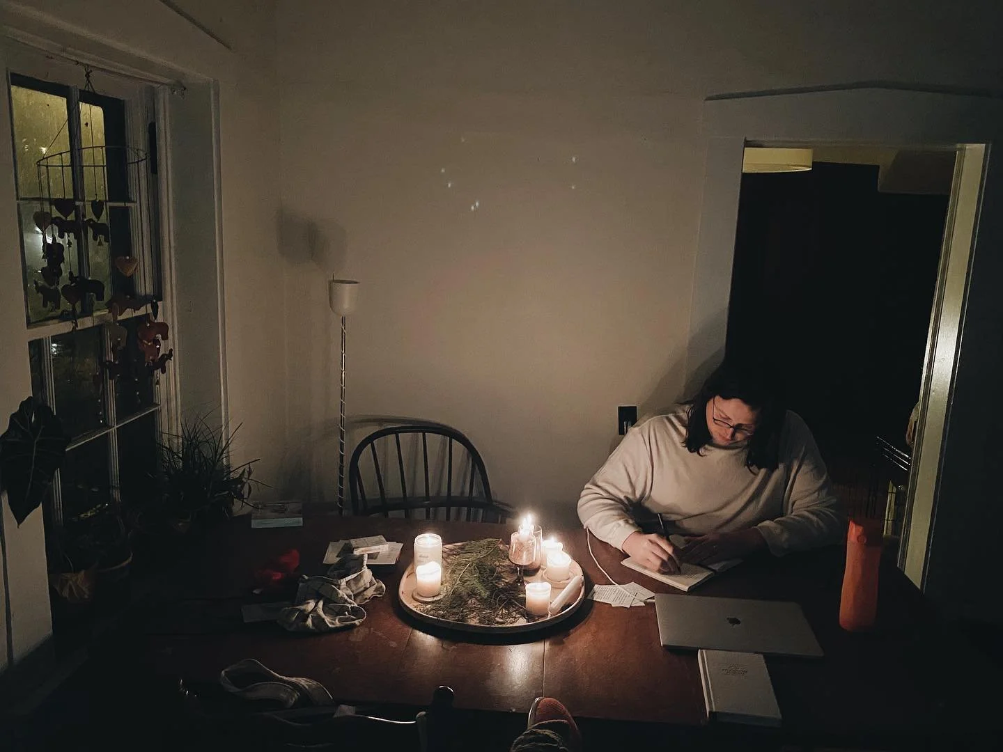 81181069_10157090132474315_2381807369928572928_o_websize (1).jpg