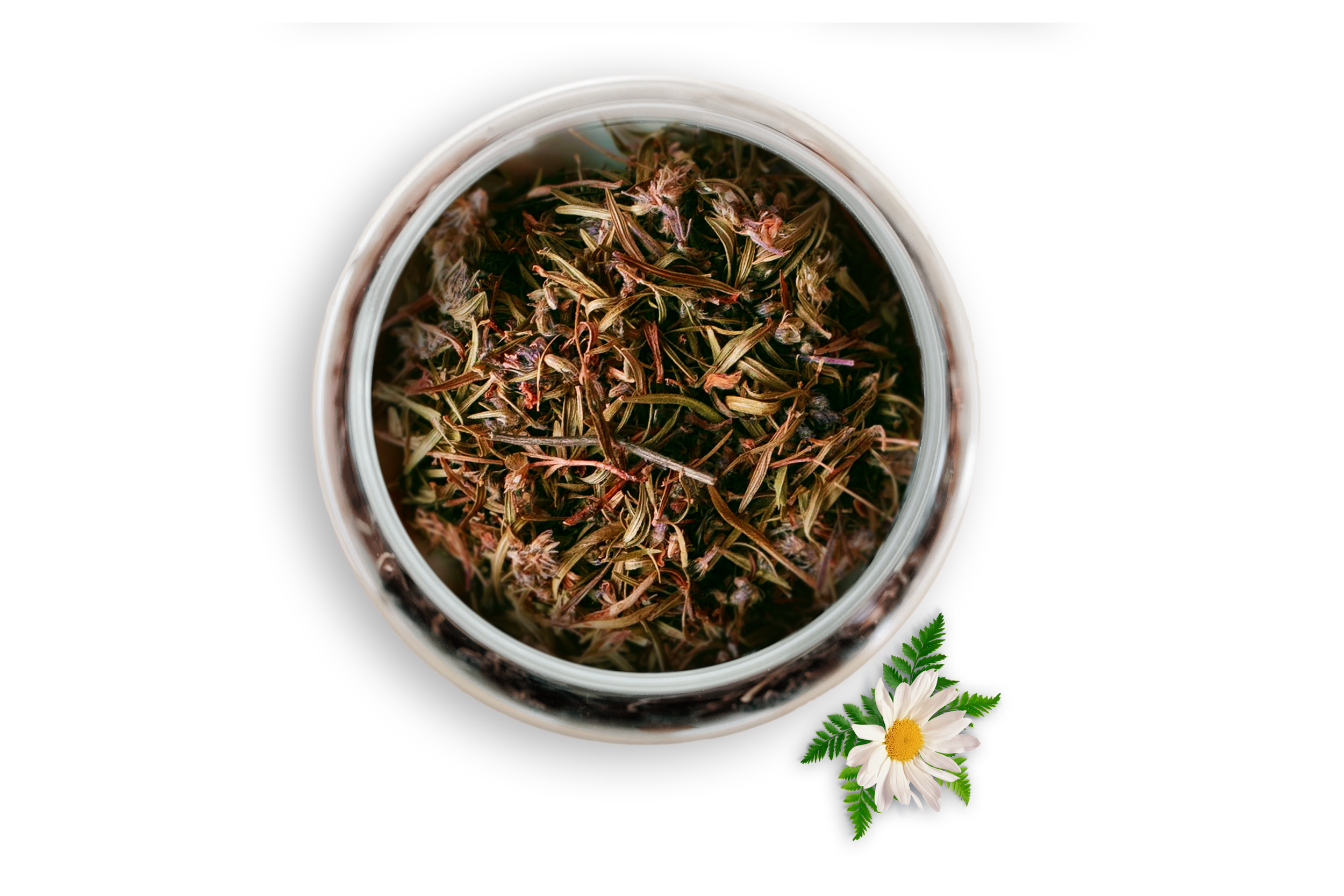 Good Thymes Standard Herbal Enema - 8oz.