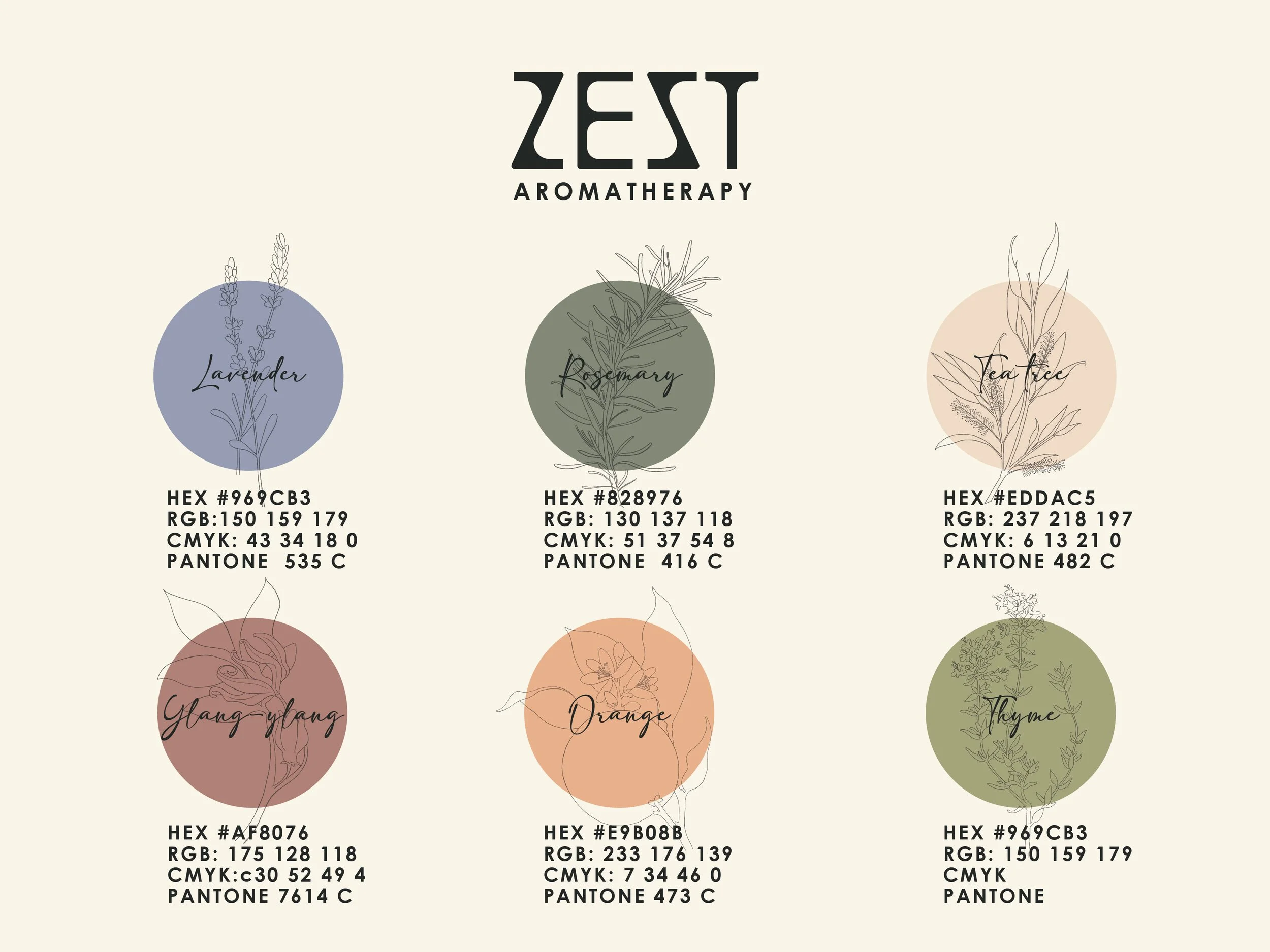 Zest_Website_Visuals-02.jpg