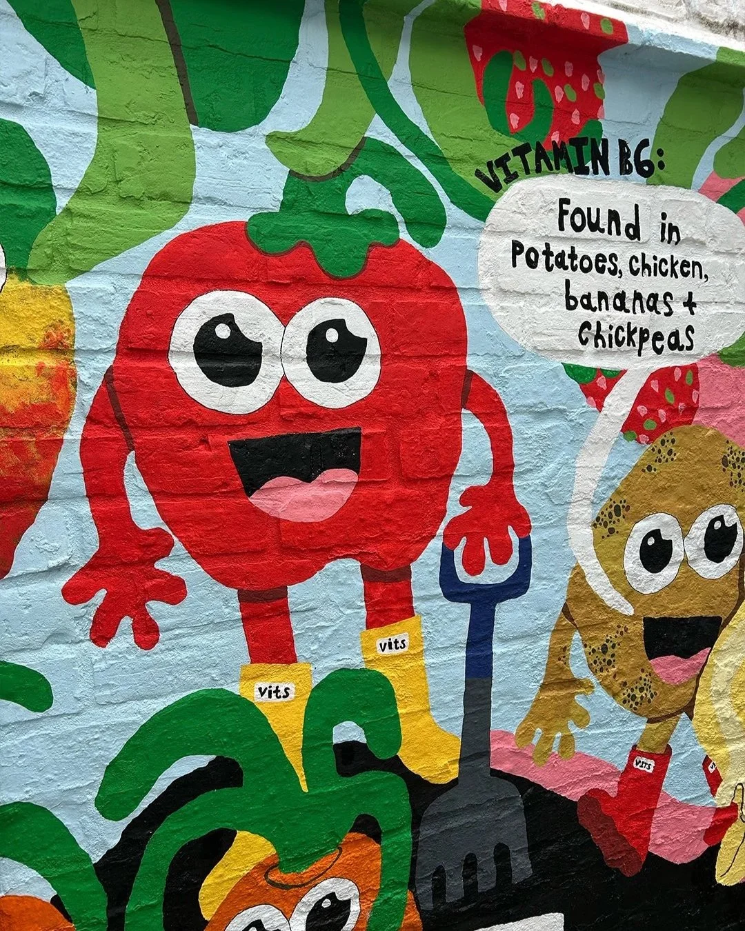 OE_Vitamin-ABC-Mural-04.jpg