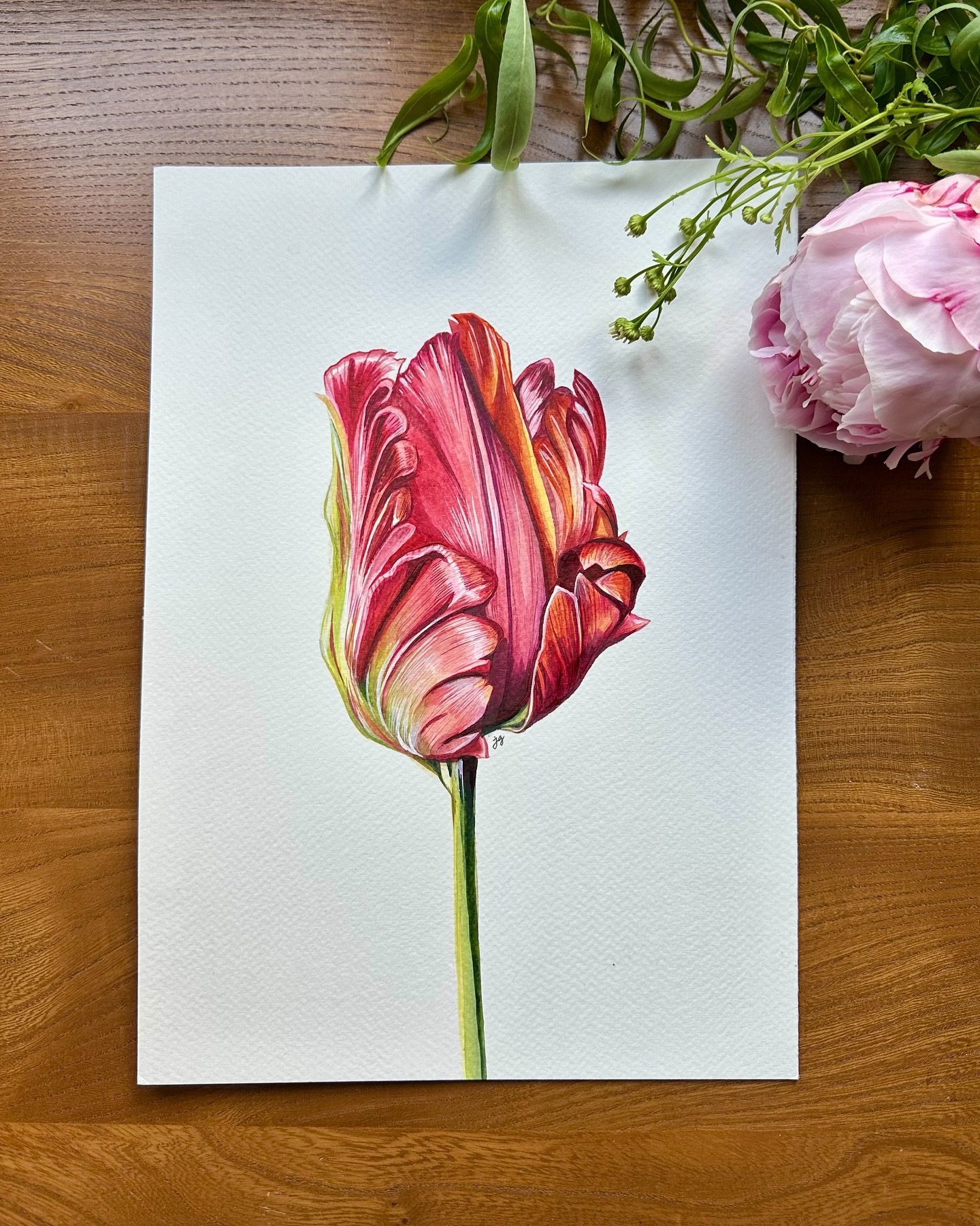 This beautiful parrot tulip original painting has just been listed on my website š· I hope it finds a beautiful new home soon! •
•
•
•
#watercolor #watercolour #botanical #botanicalillustration #tulipillustration #tulip #parrottul