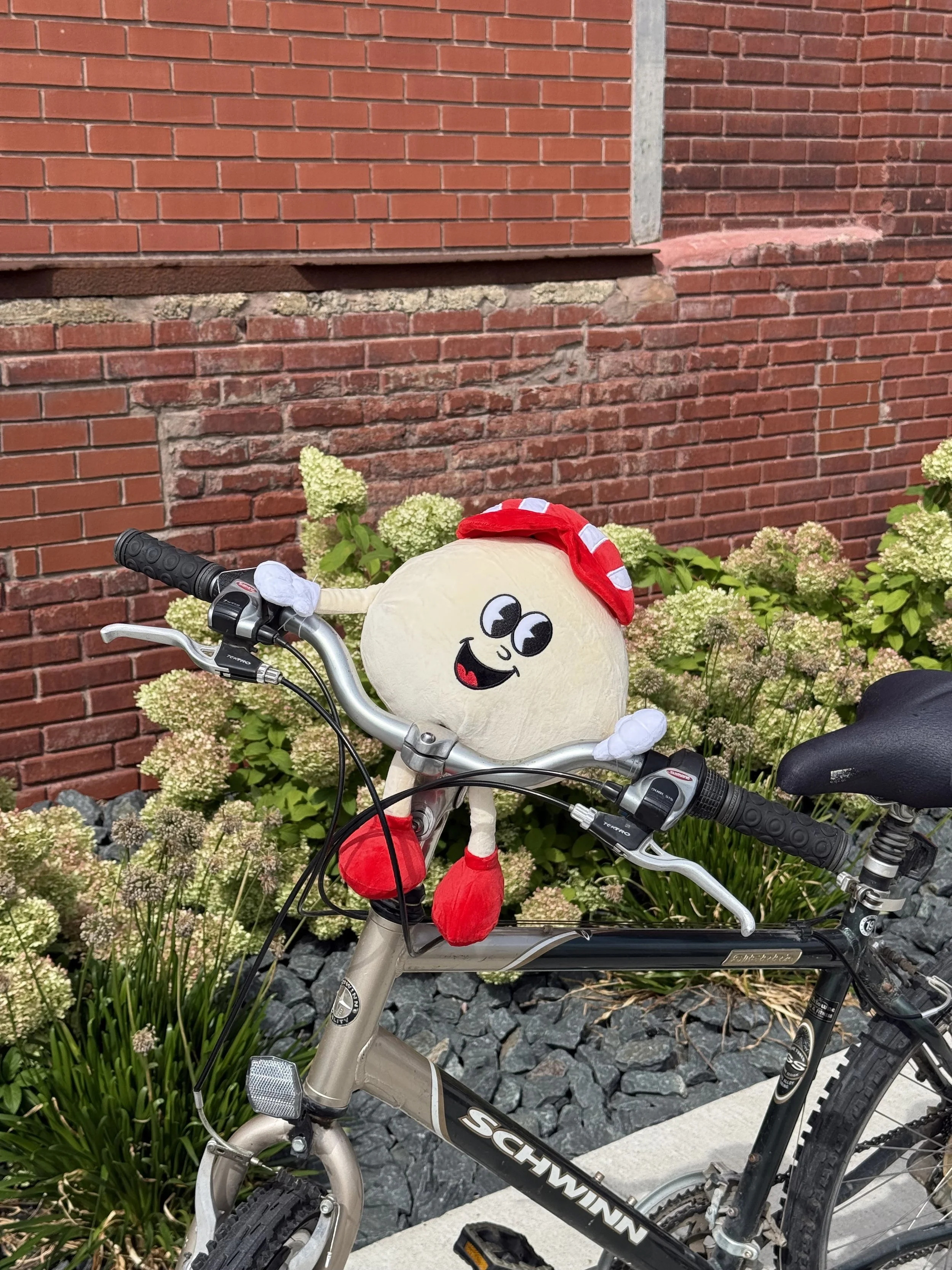 RR_Merch-Plush-bike.jpg