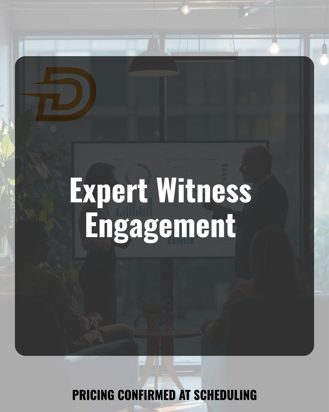 Expert Witness Engagement