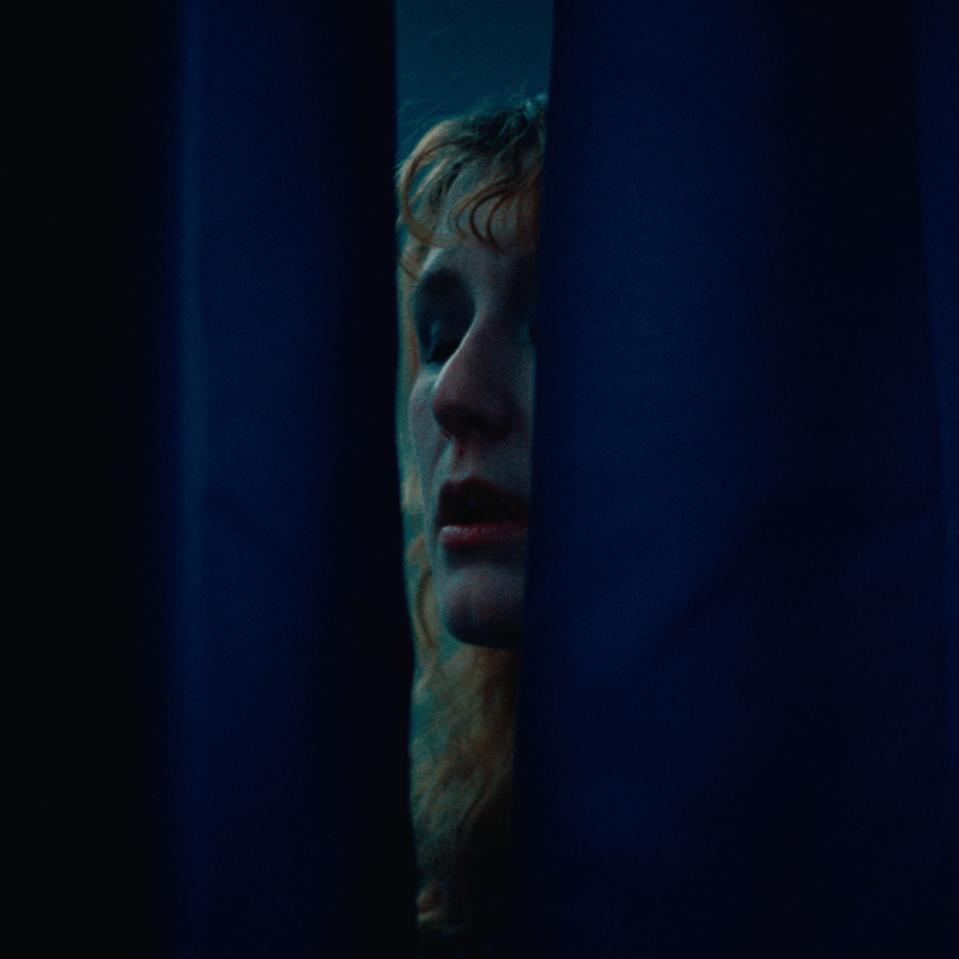 Lambrini Girls - Cult of Celebrity