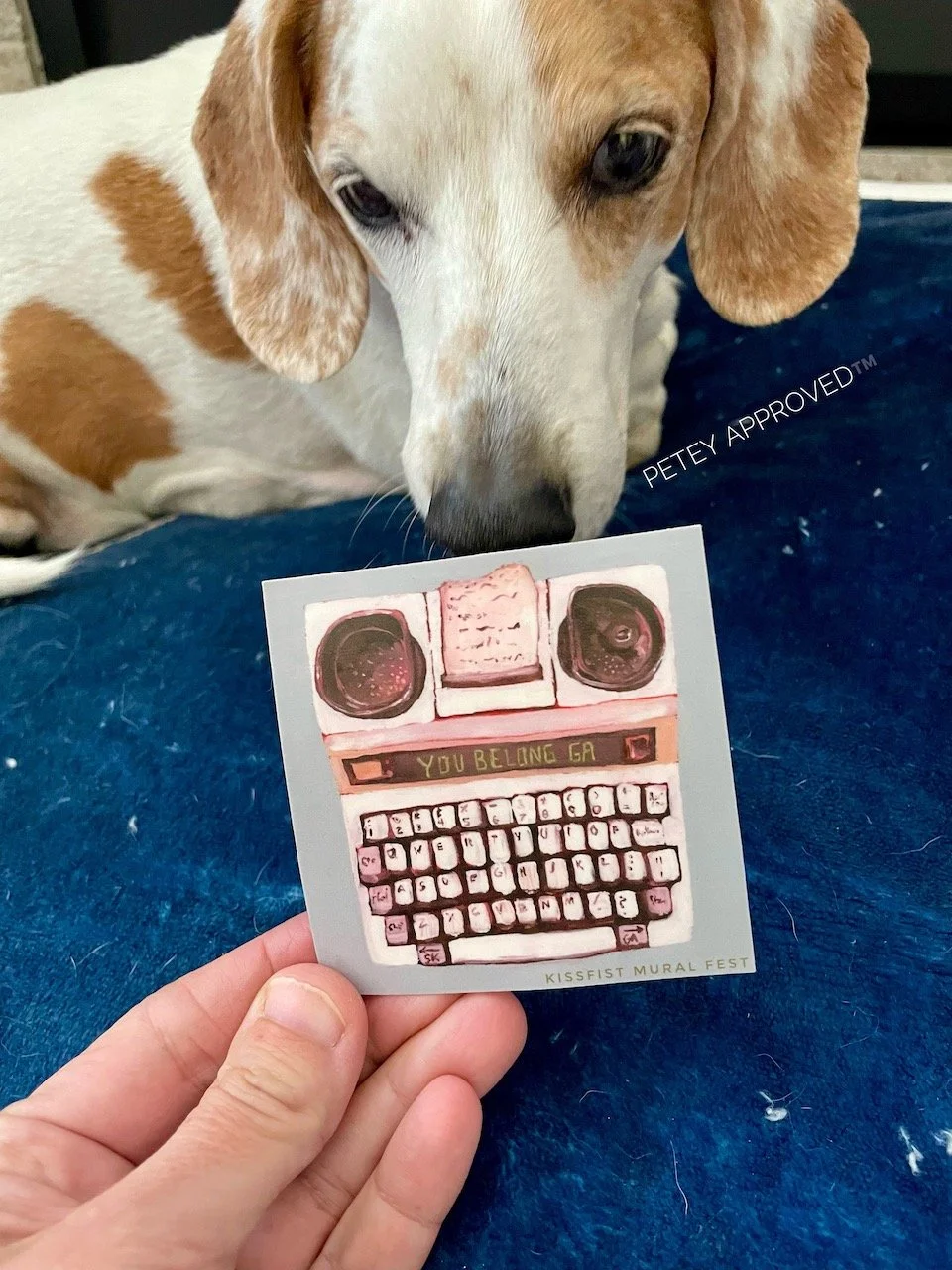 petey the dachshund sniffs the TTY sticker. Text beside it reads "petey approved TM"