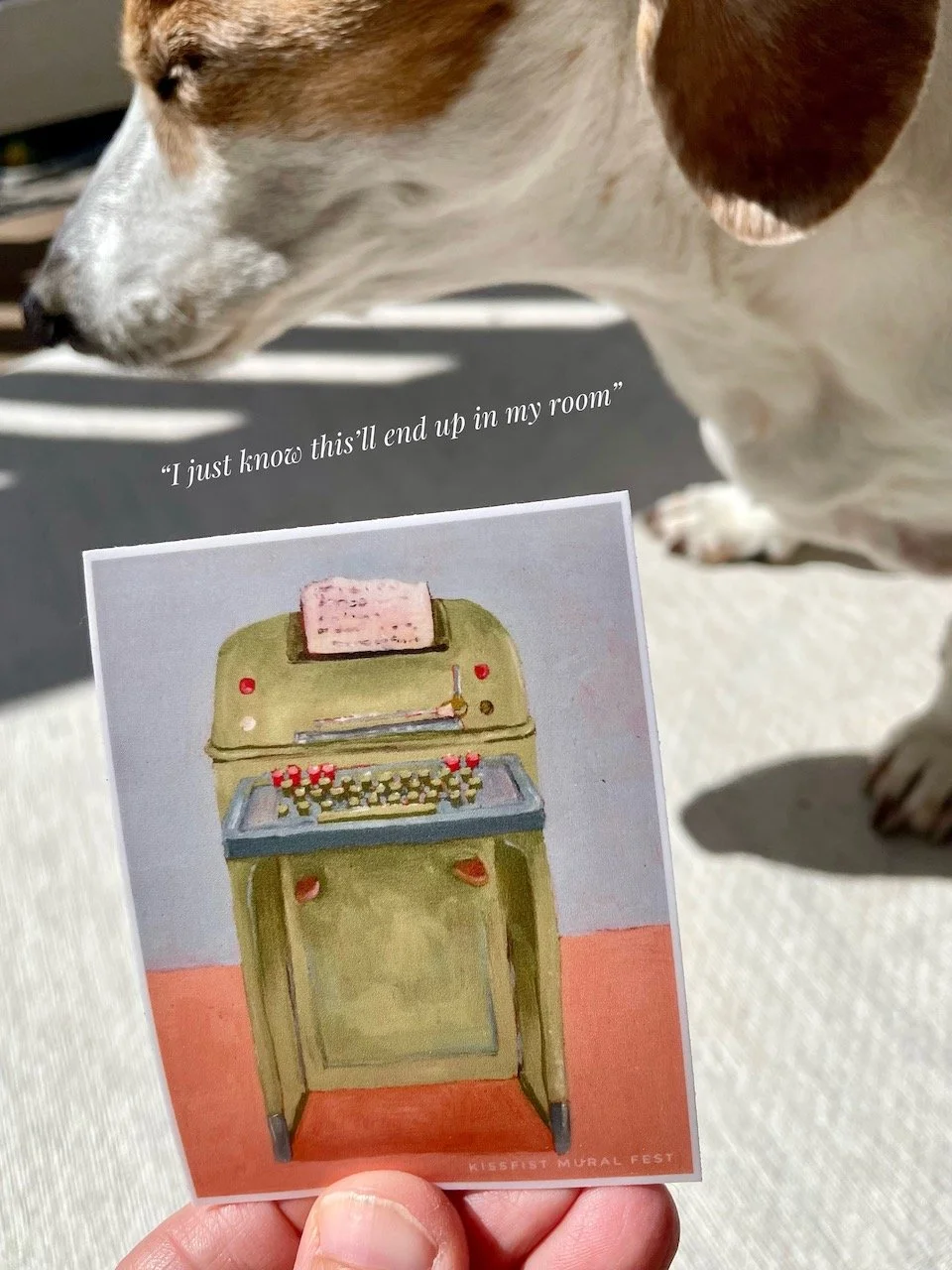 The tty sticker is held in lower screen and petey the dachshund is looking away from it. Text reads 'i just know this'll end up in my room'