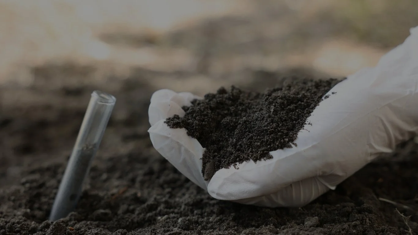 A gloved hand holding a small pile of dark soil or dirt on white paper, with a glass test tube partially buried in the ground nearby.
