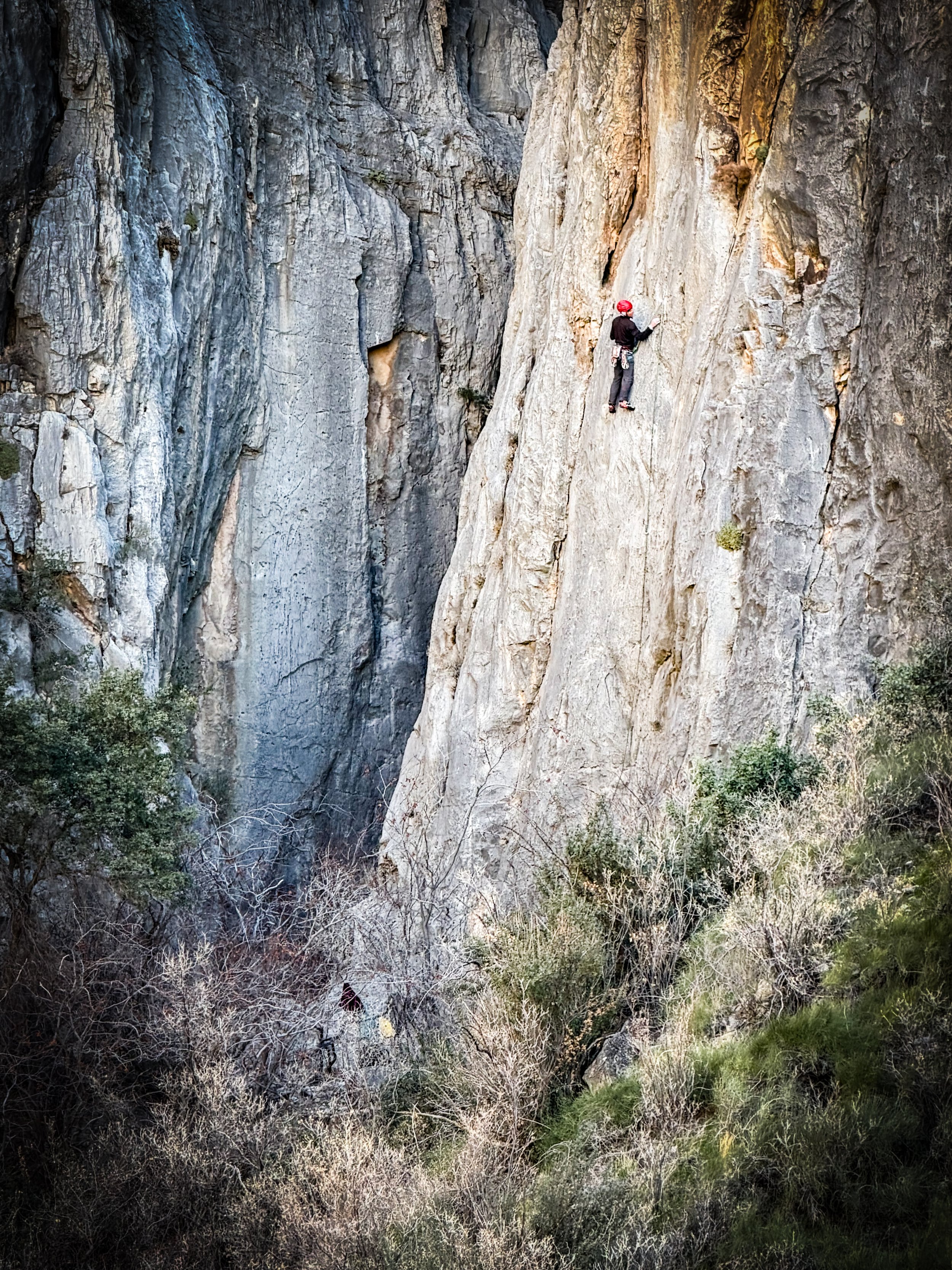 Best Rock Climbing Courses for Real Progress