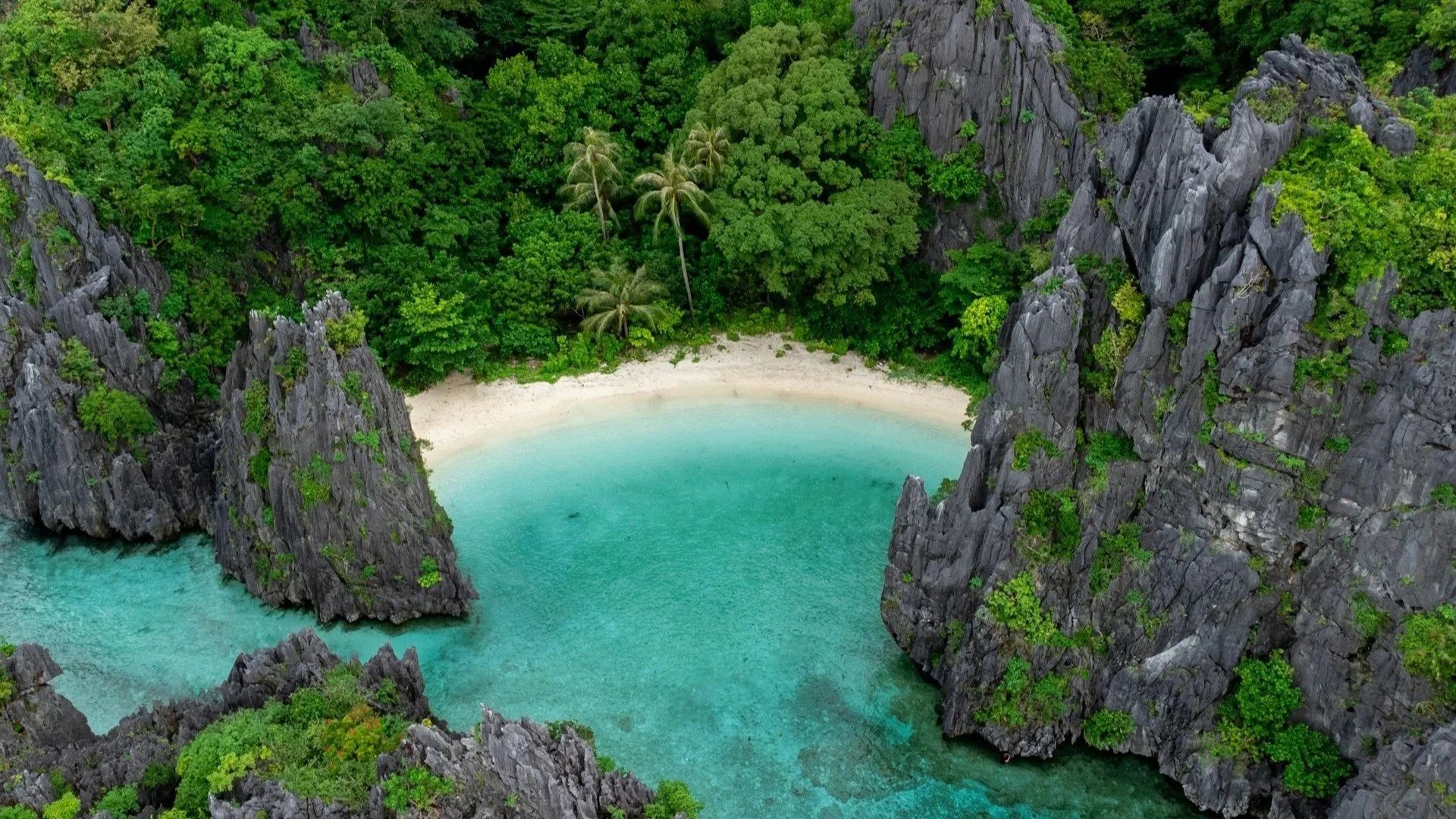 Aerial shot of a secluded, crescent-shaped white sand beach tucked inside towering limestone cliffs covered in lush green foliage.