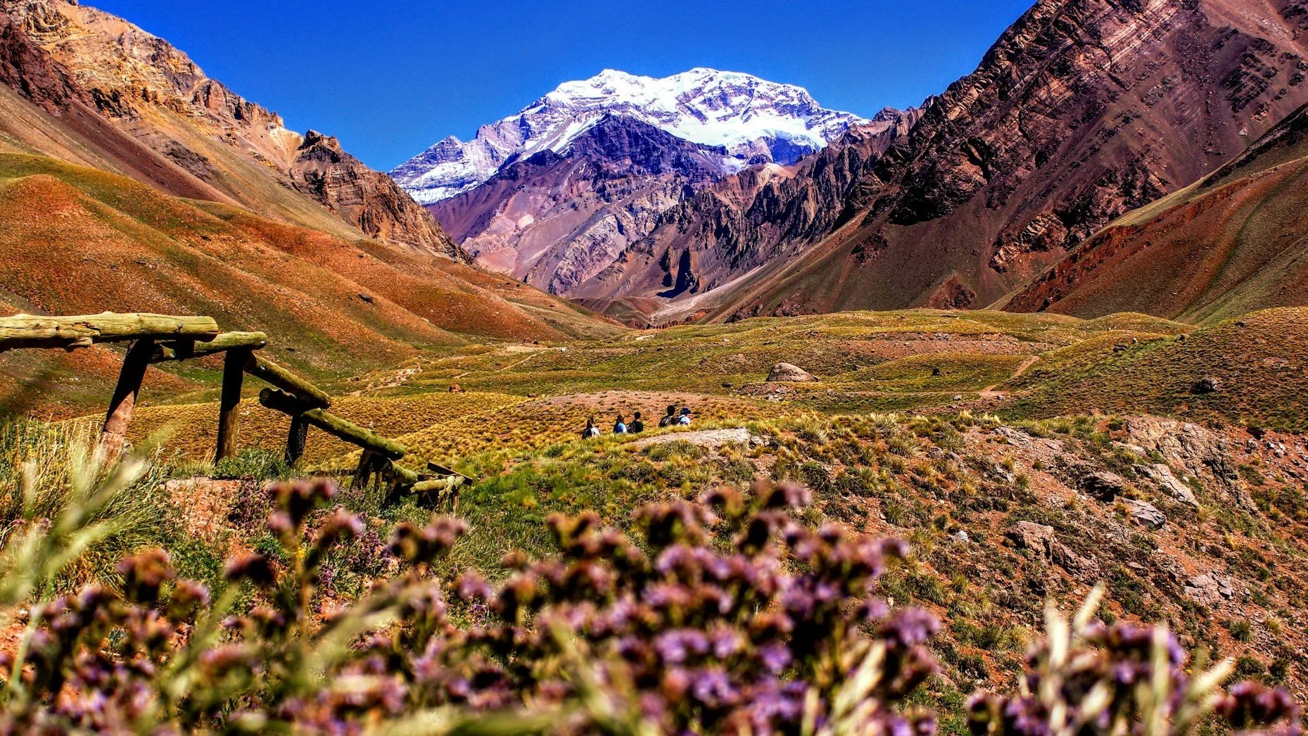 Raw and Real: Why "Off-Grid Eco-Luxury" is Dominating Argentina