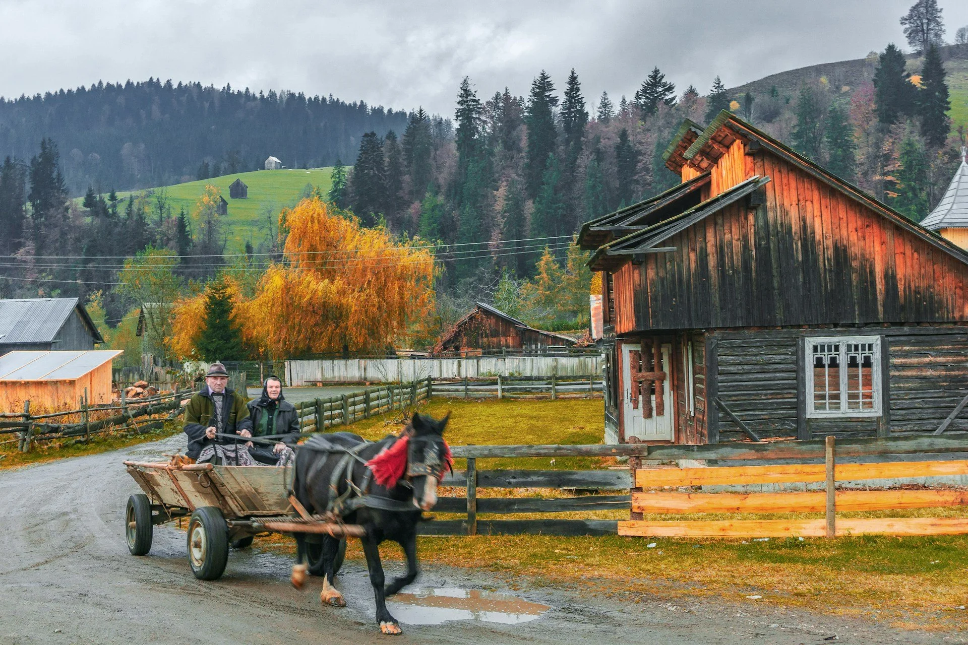 Winding Roads and Digital Maps: Crucial Tips for Your First Romania Trip