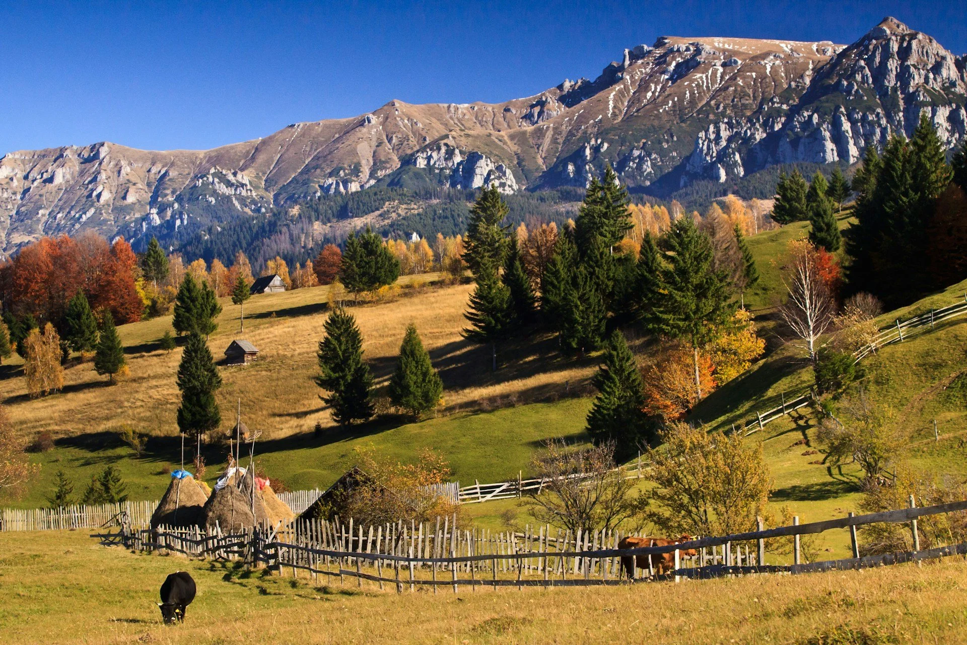 The "Camino of Romania": Walking the Historic Via Transilvanica