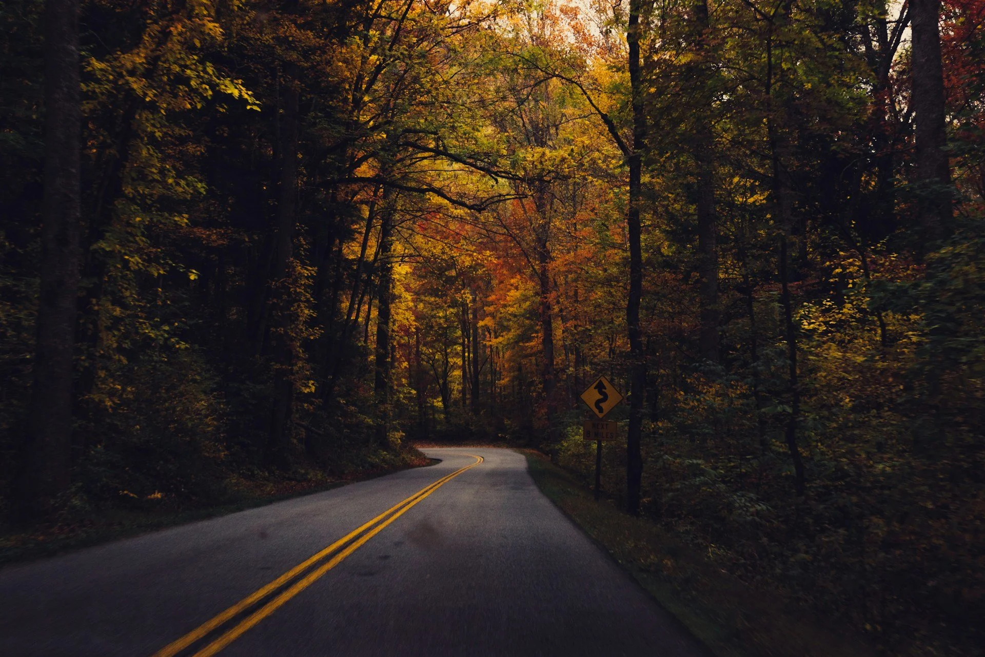 The Art of Autumn Travel: Practical Tips for Smooth Fall Road Trips and Flights