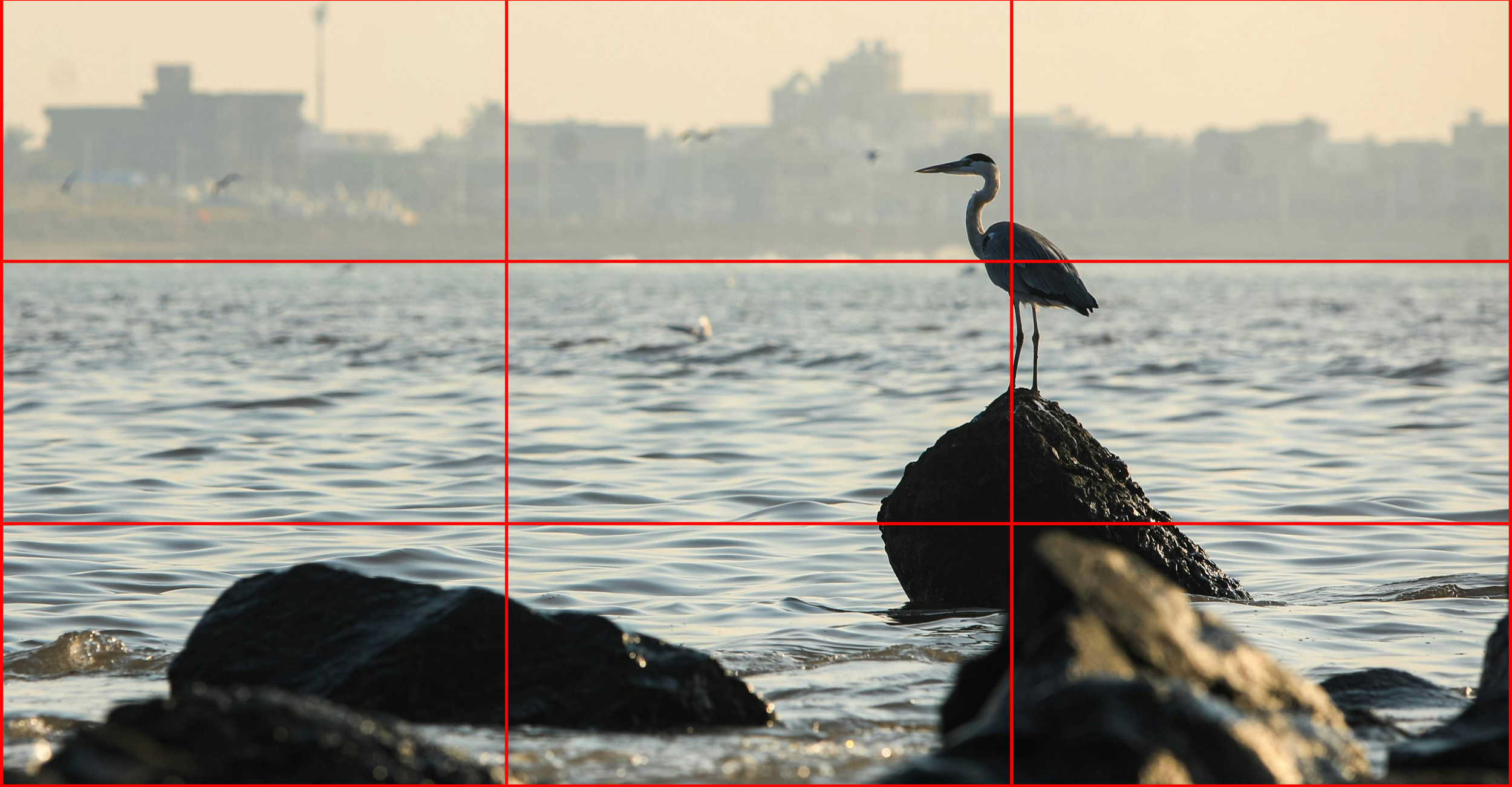a great blue heron perched on a large, dark rock in the middle of calm, gray water. A grid of red lines is superimposed over the image, dividing it into nine equal sections to demonstrate the rule of thirds.