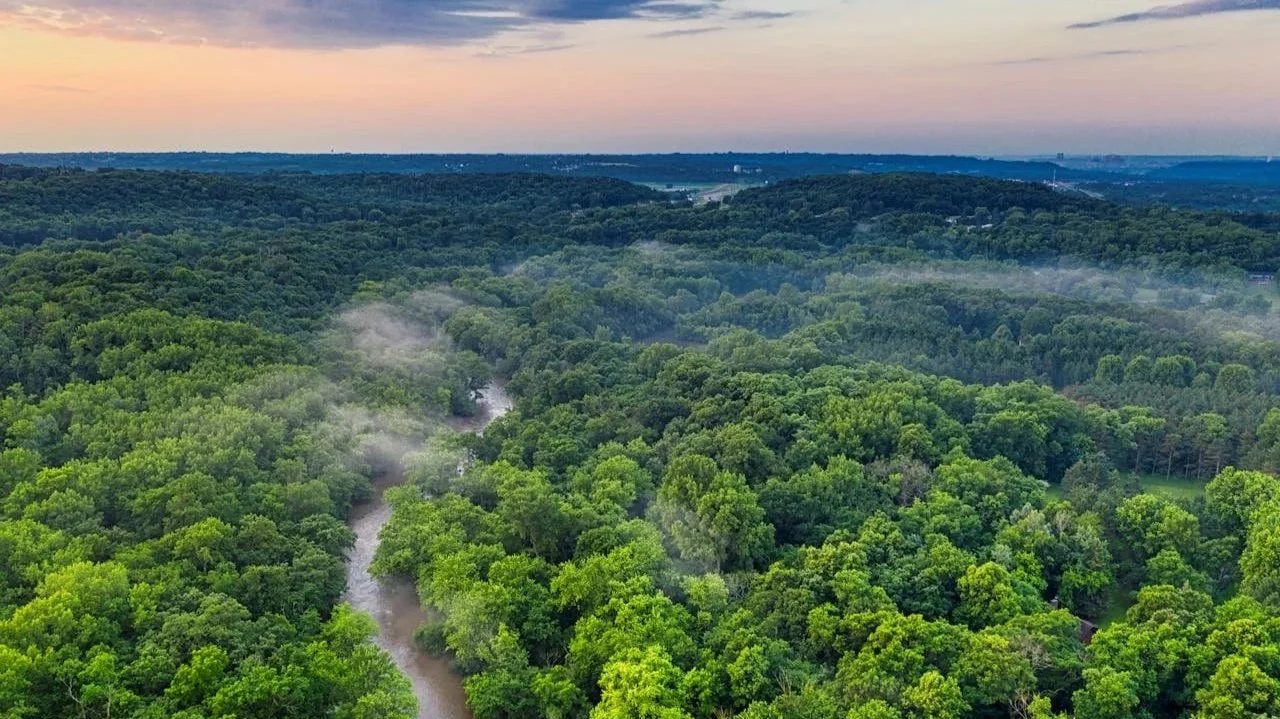 An aerial view of a winding river flowing through a dense, lush green rainforest at dawn, with light mist clinging to the treetops.