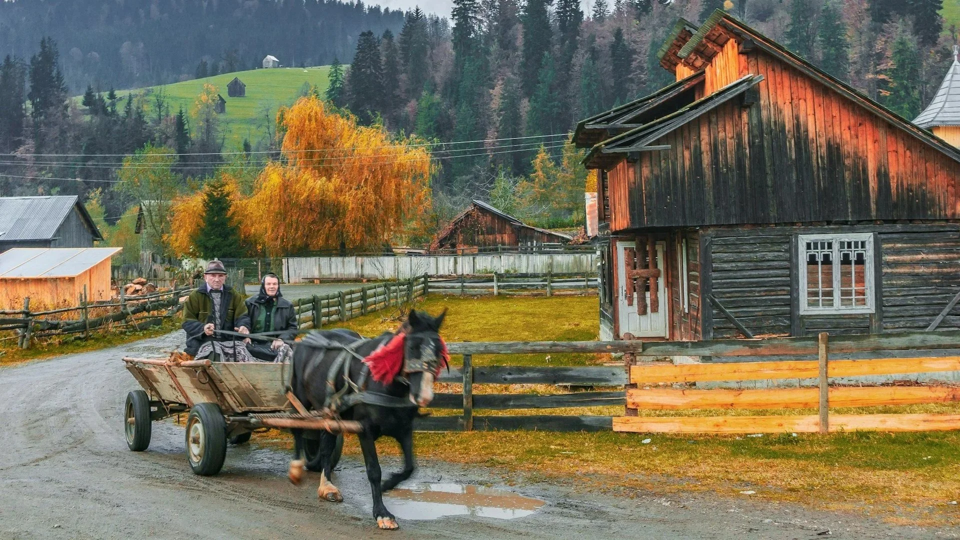 An elderly man and woman riding a horse-drawn wooden cart down a dirt road in a rustic Romanian village during autumn.