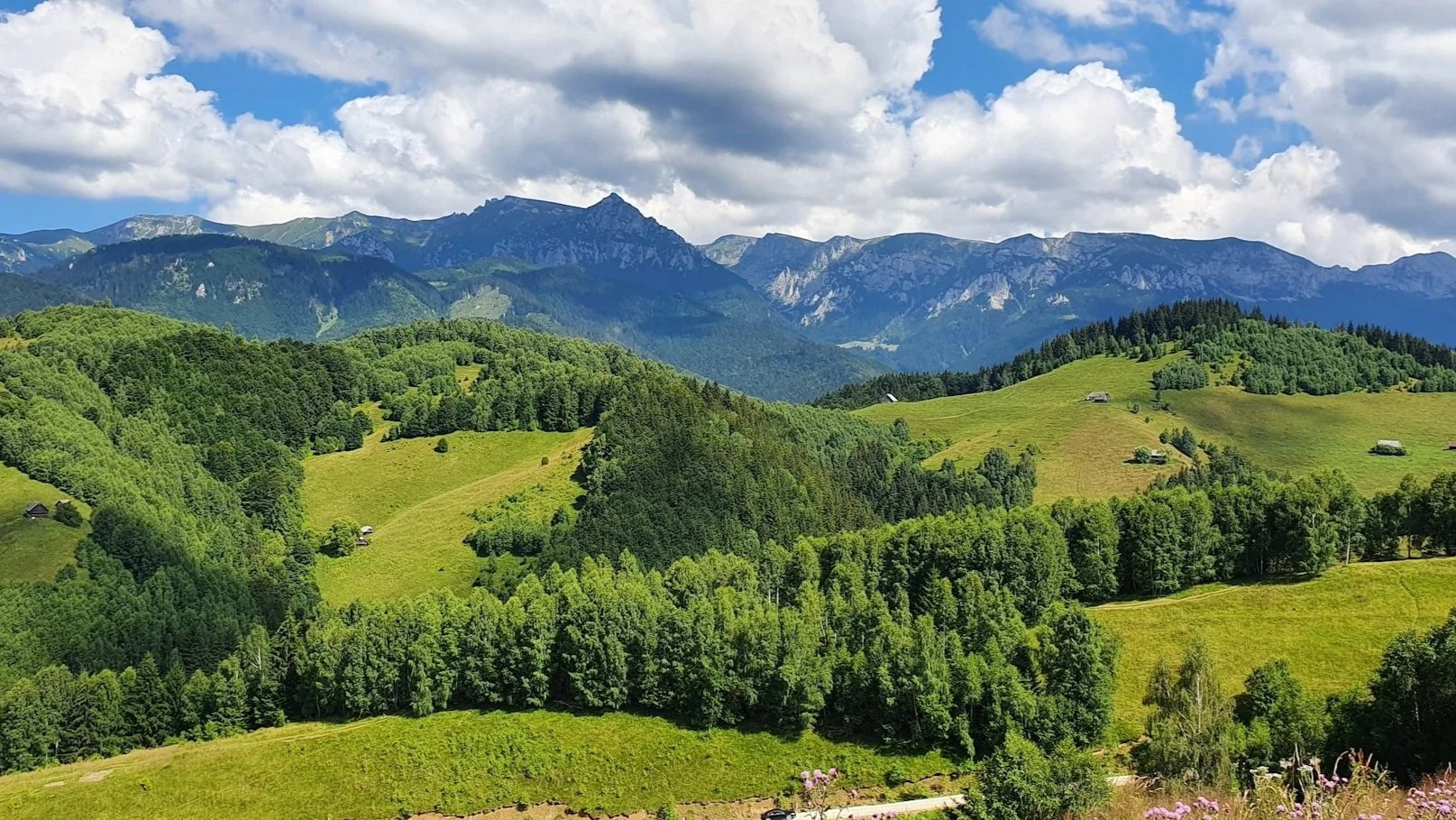 Lush green rolling hills and forests in the Romanian countryside with jagged Carpathian mountain peaks under a cloudy blue sky.