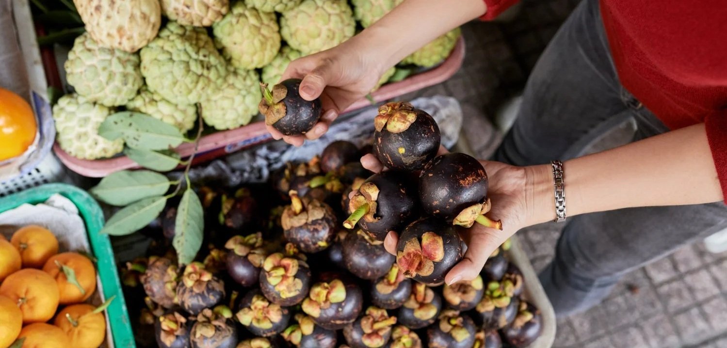 A high-angle shot of a person selecting dark purple mangosteens at a market stall, surrounded by bins of fresh custard apples and citrus fruits.