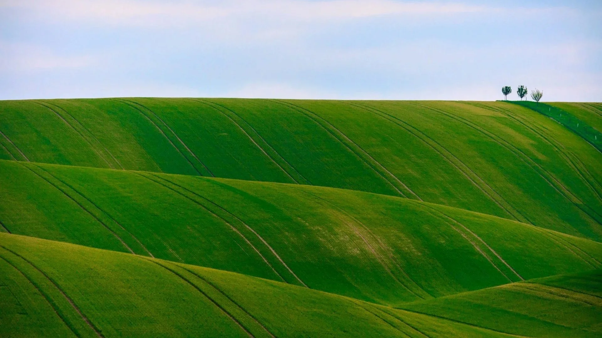 A landscape view of rolling, bright green agricultural fields with symmetrical tractor lines under a pale blue sky.