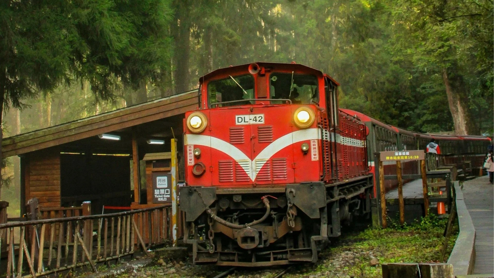 A classic red and white train stopped at a rustic wooden forest station platform, enveloped by towering green pine trees.