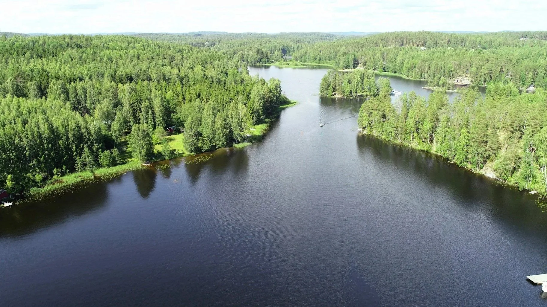 An aerial view of a calm, winding river or lake cutting through a dense, vibrant green forest. Small wooden cabins and docks are tucked along the shoreline under a bright, sunny sky.