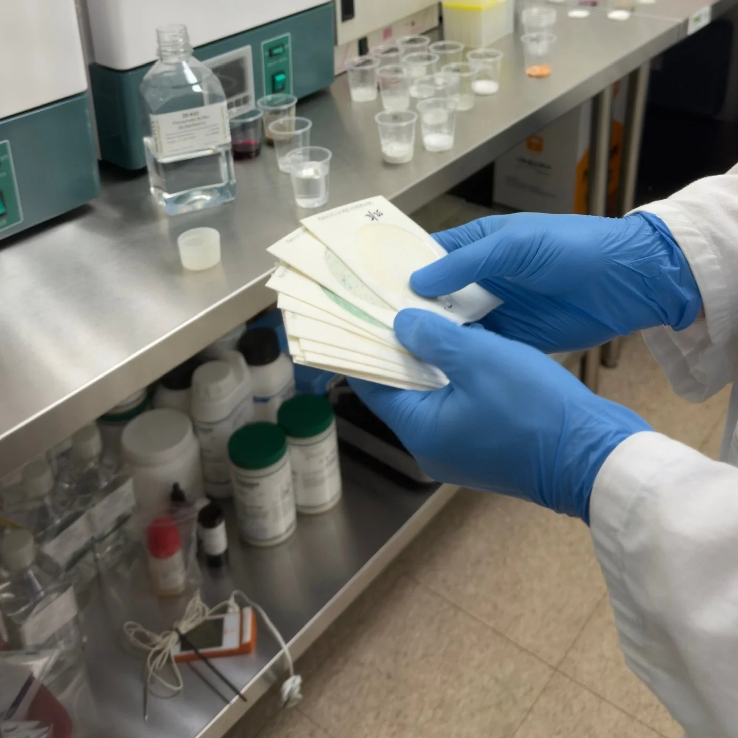 Stability Testing: What It Costs and What It Prevents