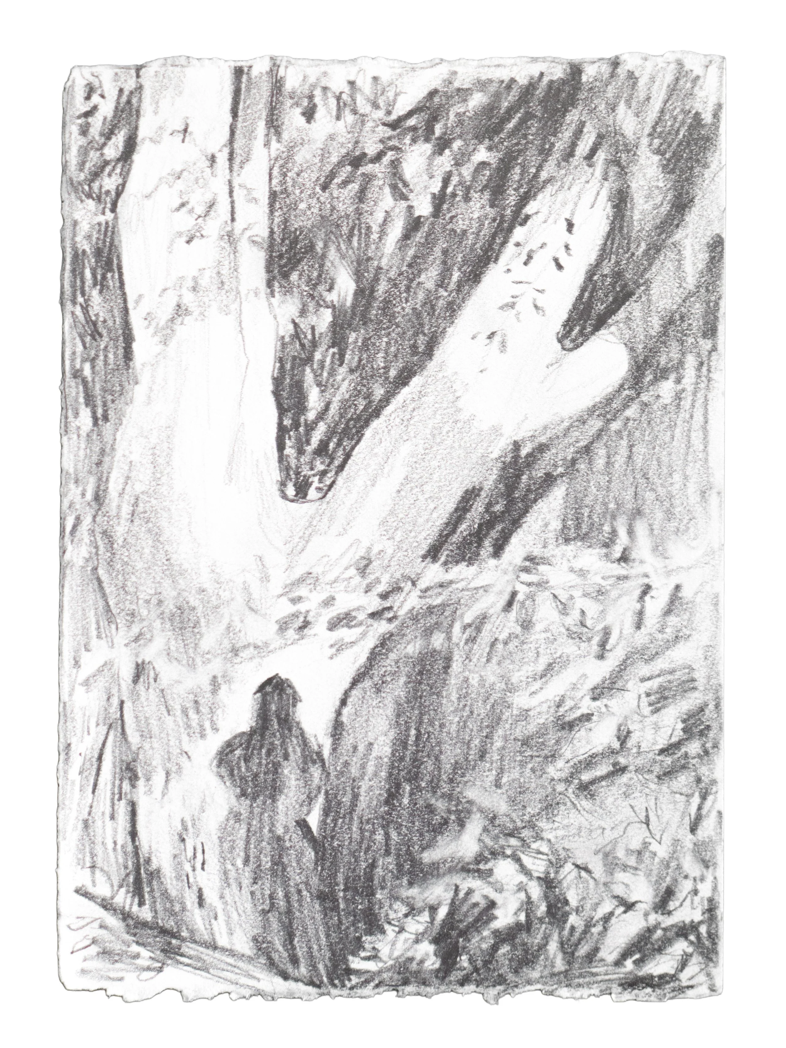 Shadow on Laurel Hill Tree