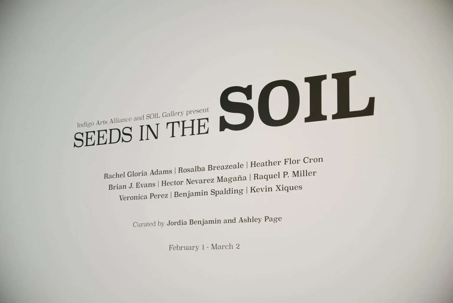 Seeds in the SOIL