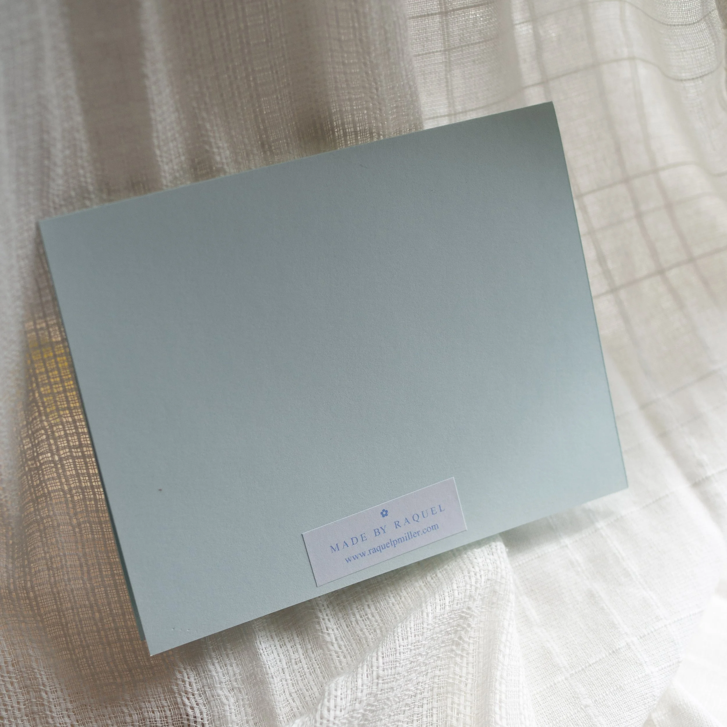 2.2-Blue Comet Back.jpg