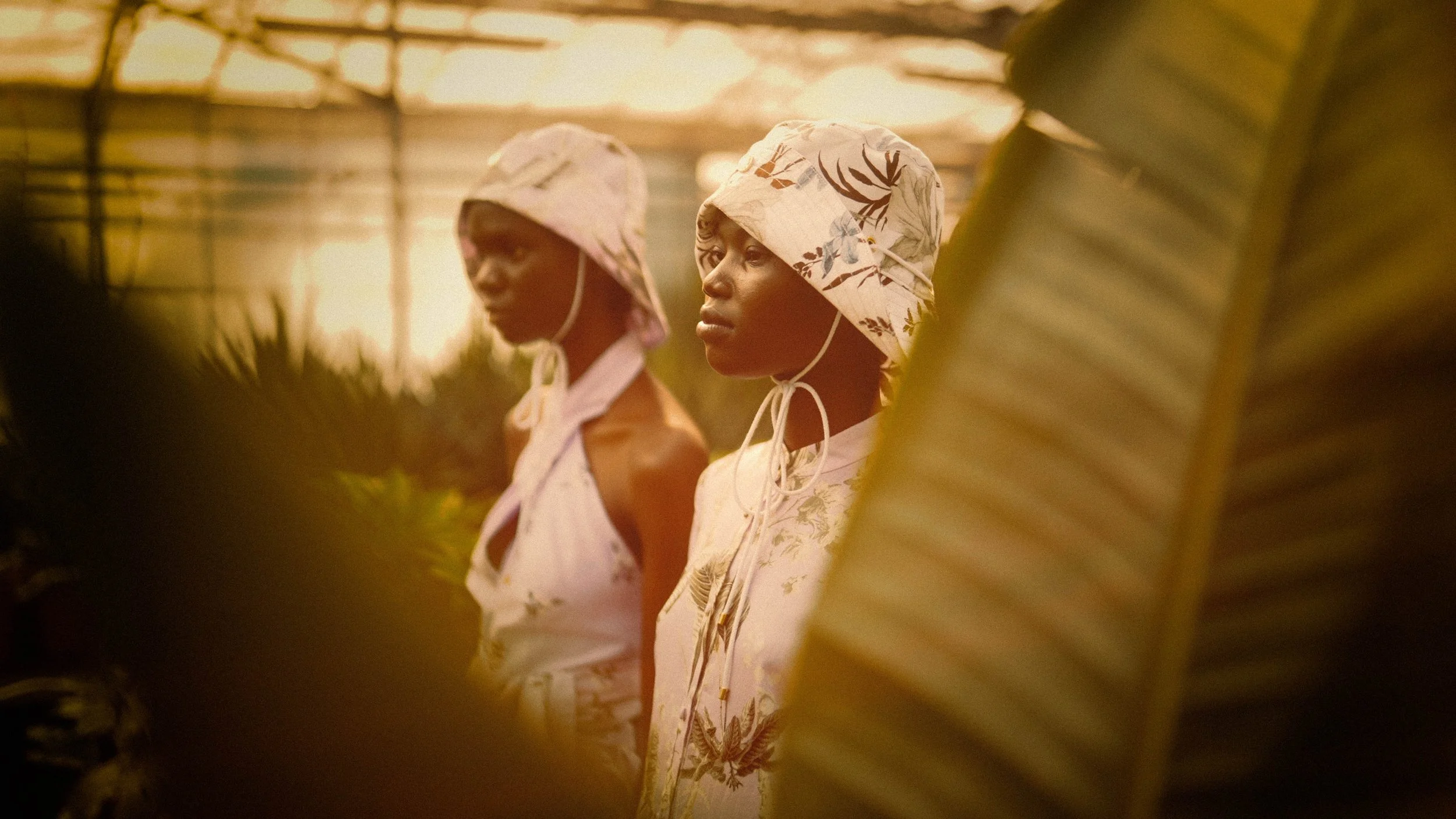 Two women wearing floral headscarves and traditional dresses standing outdoors, partially obscured by large leaves in the foreground, with sunlight creating a warm glow.