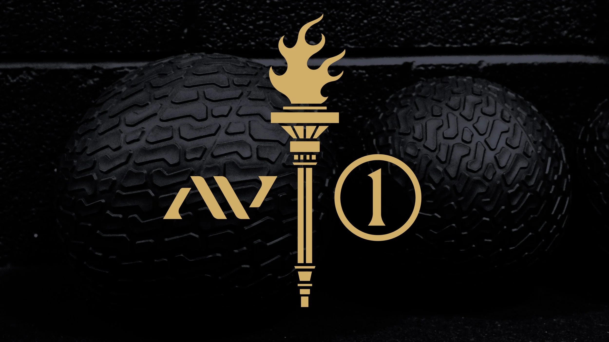 ActiveVirtue_06.jpg