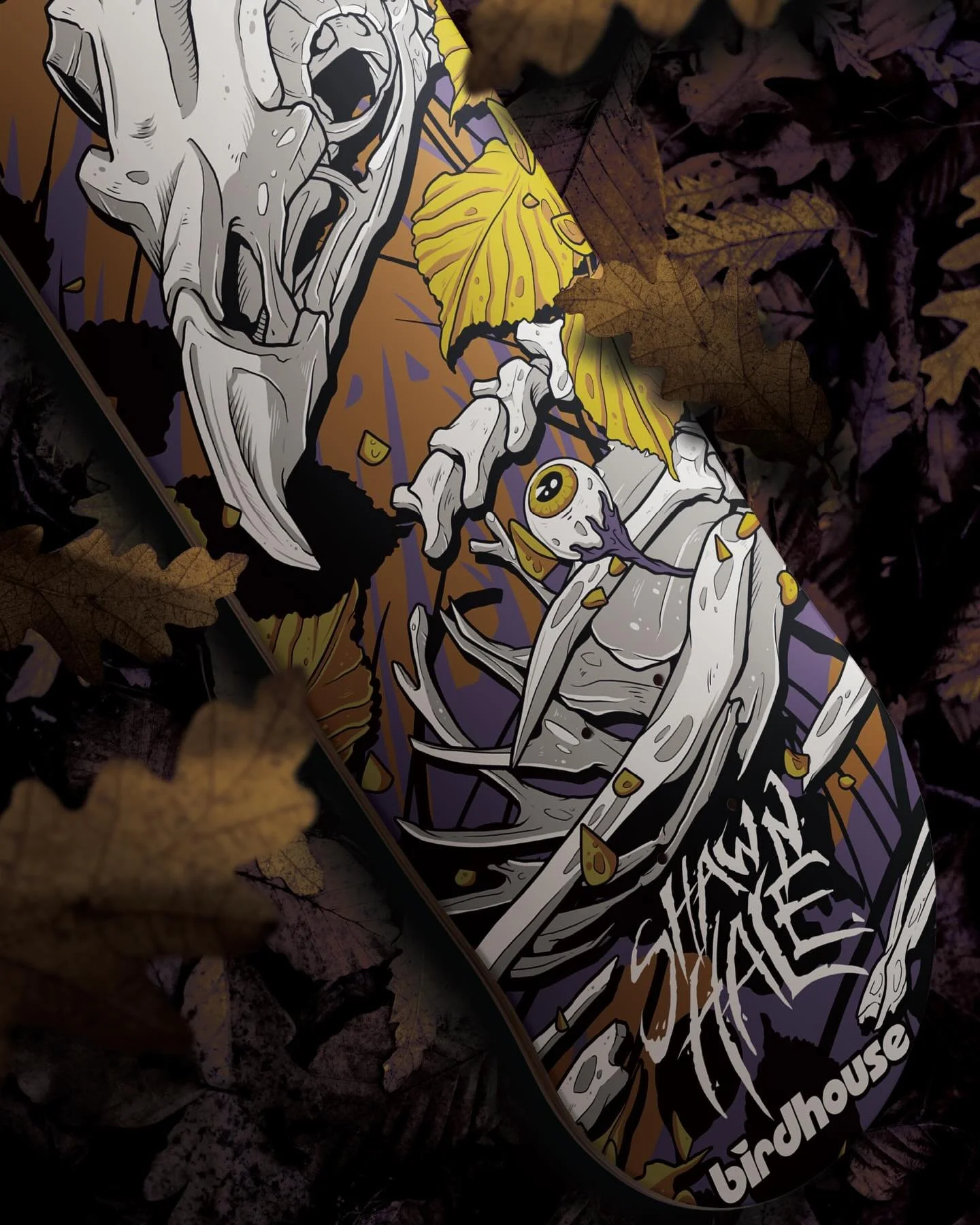 Birdhouse x Tillbrook series 
4/4

Here&rsquo;s the fourth and final deck I worked on in collaboration with @birdhouseskateboards for @hale 

-

#shawnhale #skateboard #art #illustration #birdhouseskateboards