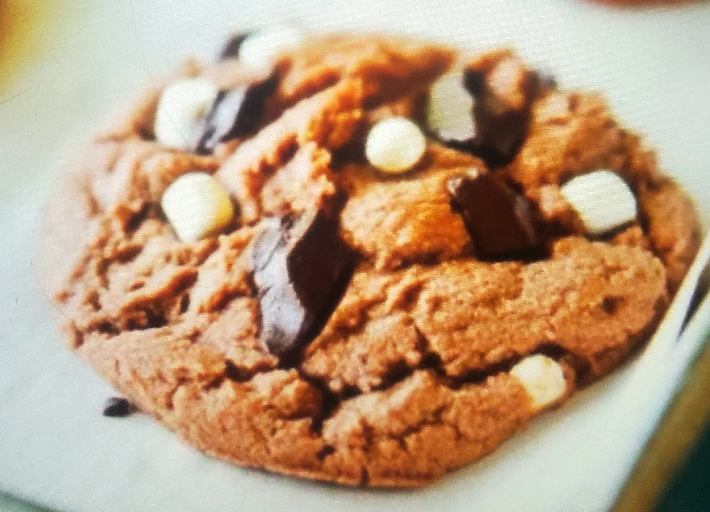 processed_4e38443a3bb64c64b2b53a00abe65ad6.jpeg (Copy)