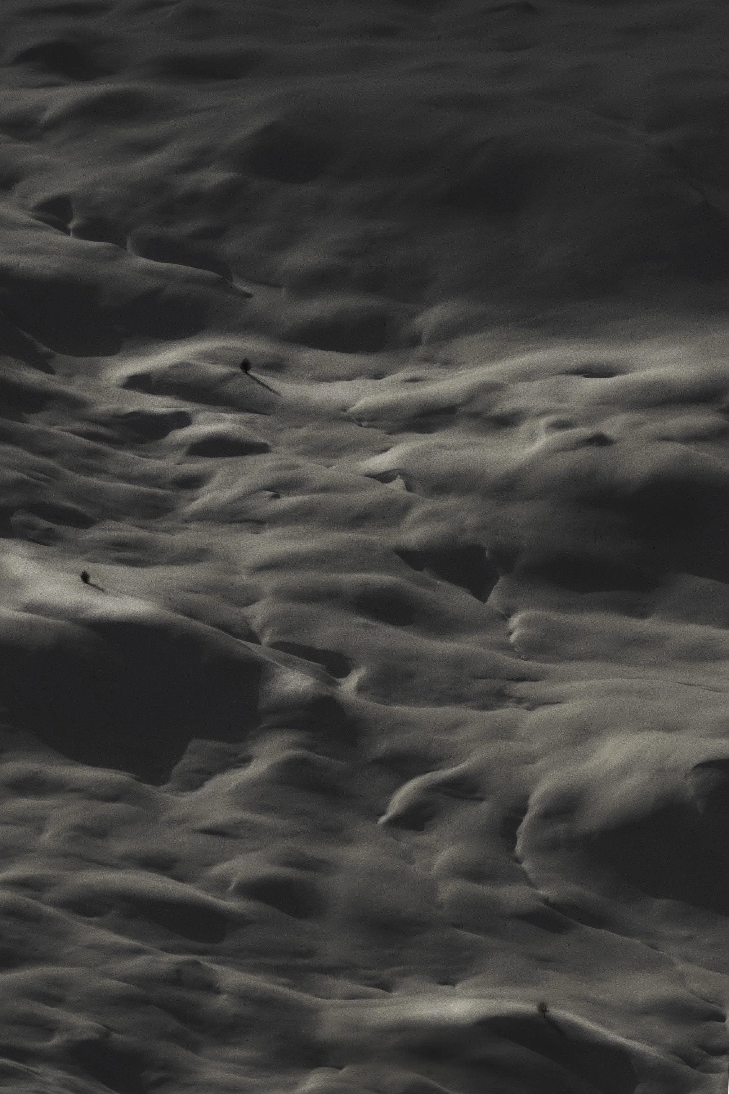 DSC00064-Edit copy.jpg