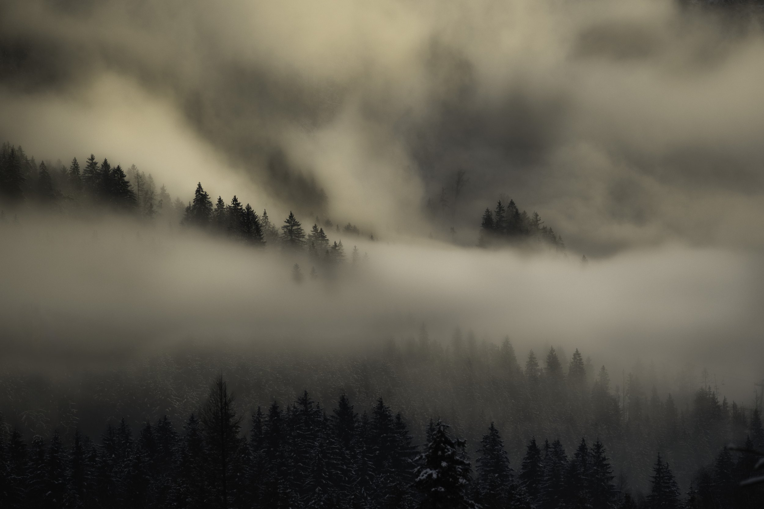 DSCF1253-Edit copy.jpg