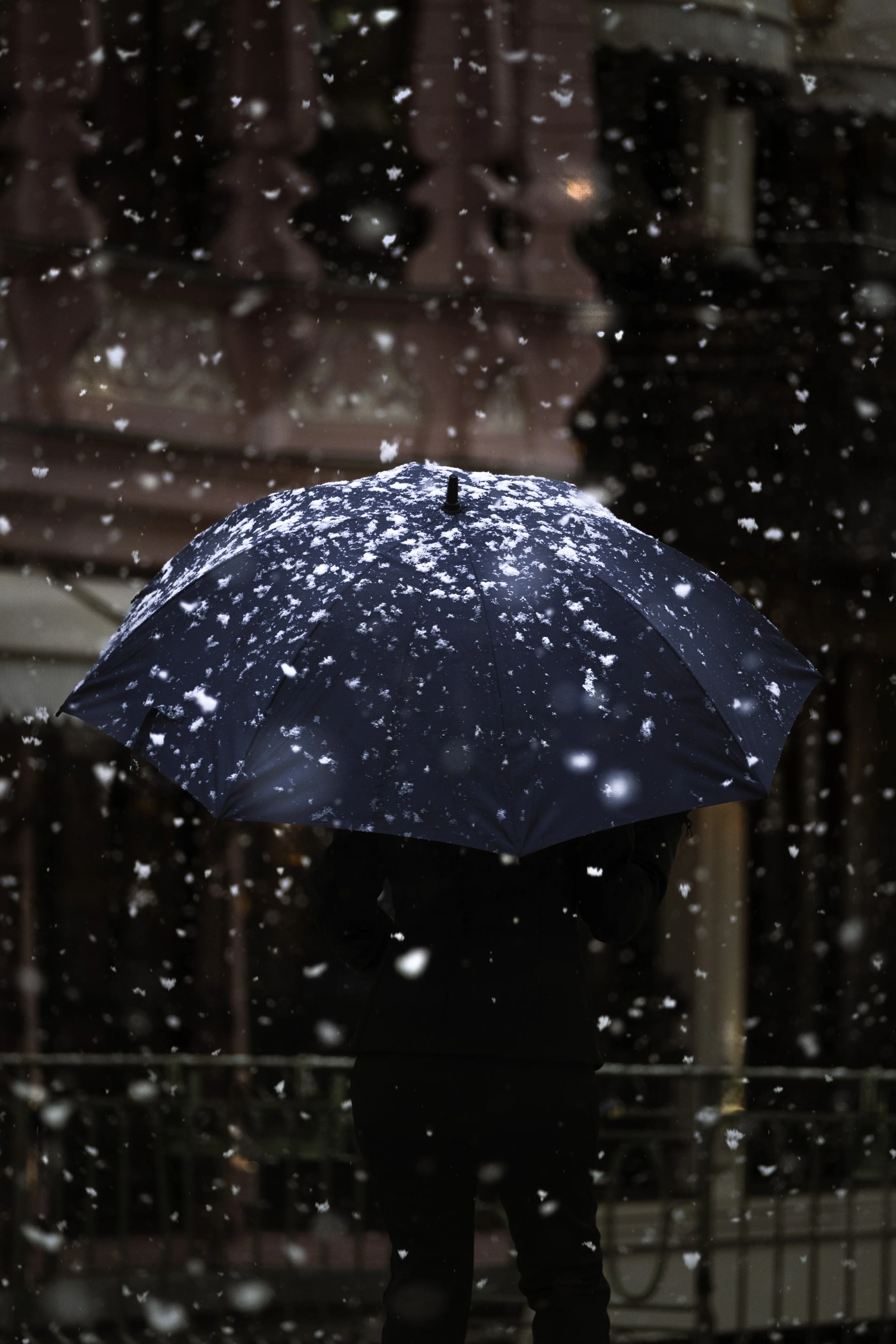 DSCF1401-Edit-Edit-Edit copy.jpg