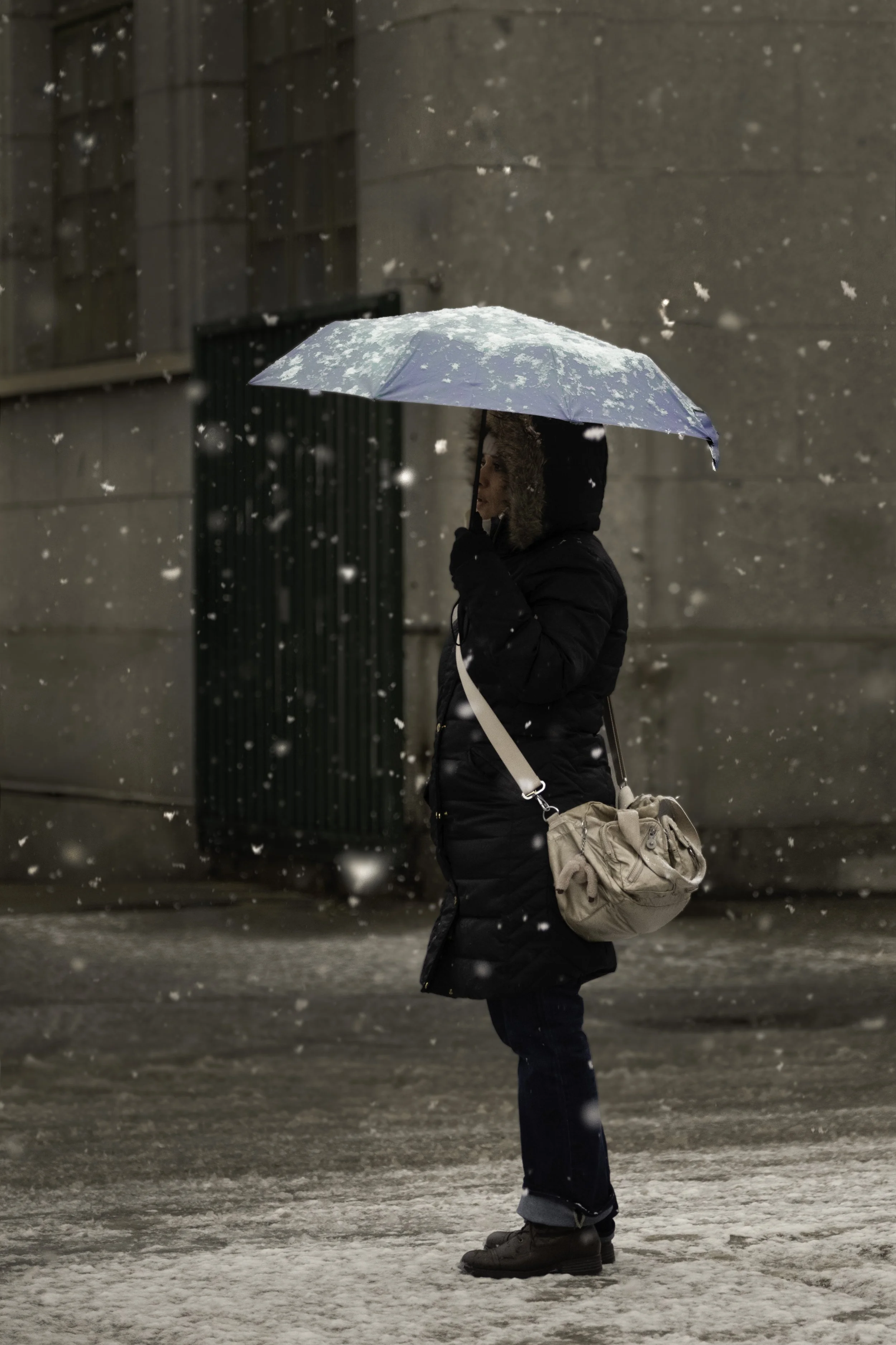 DSCF1386-Edit-Edit copy.jpg