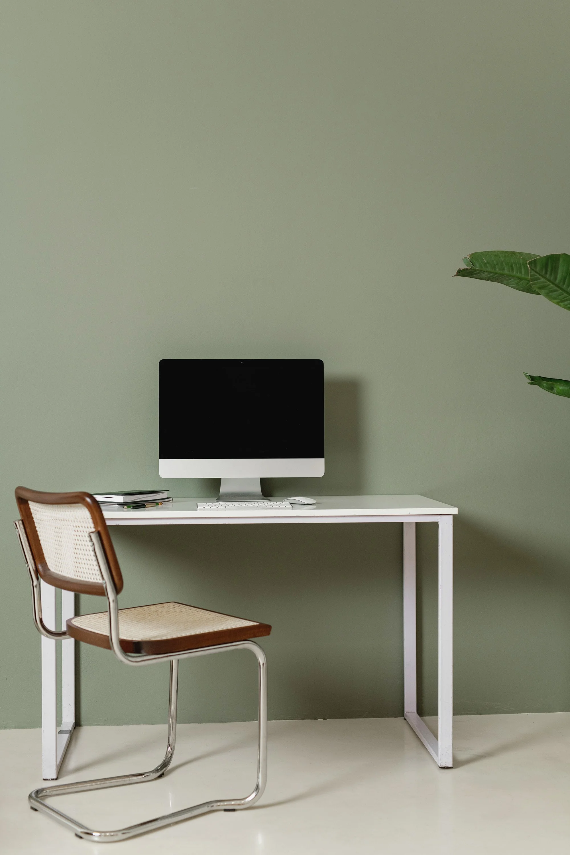 A white desk with a computer monitor, keyboard, and mouse, accompanied by a brown and white chair with a cane seat and metal frame, against a pale green wall and a large leafy plant on the right side.