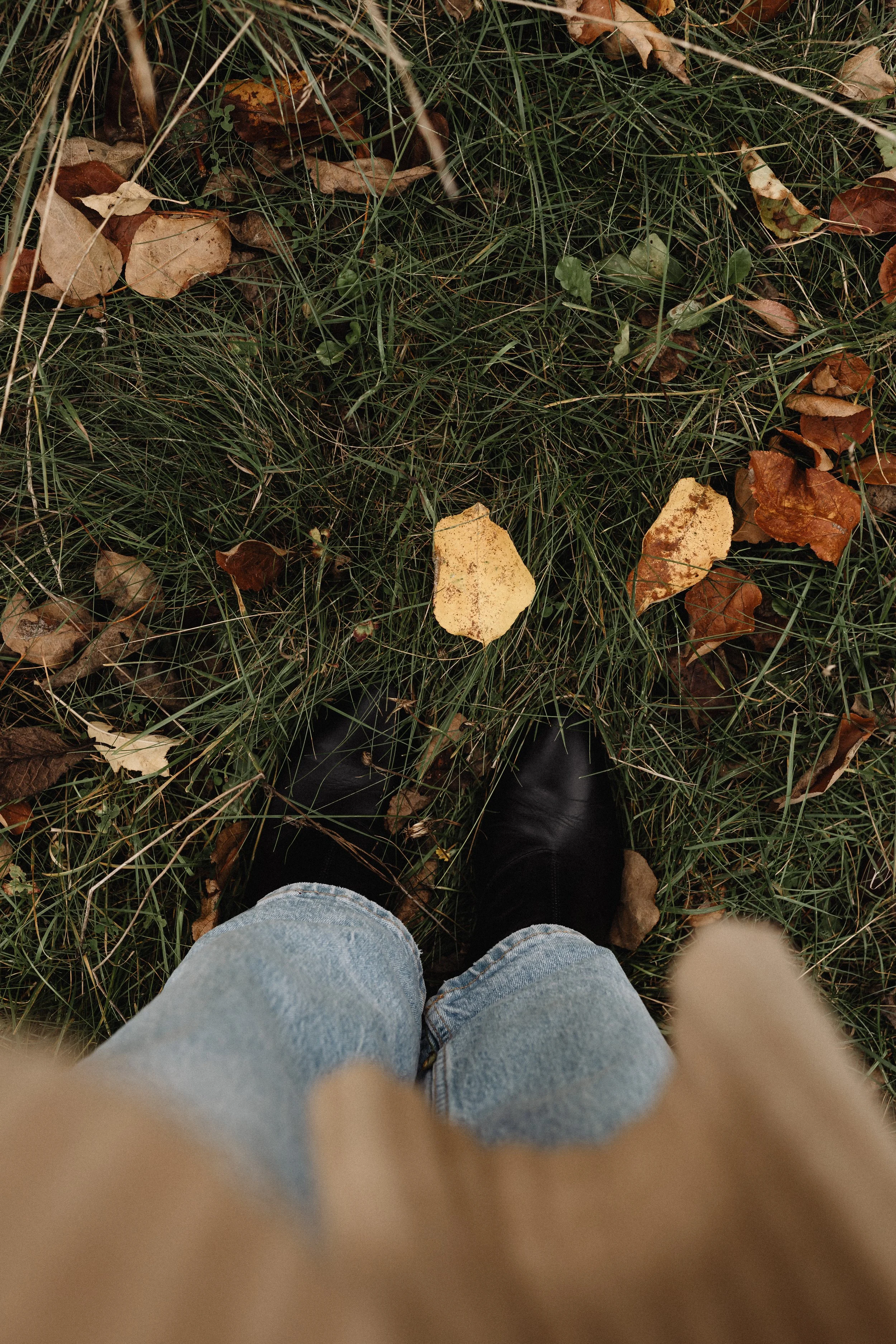View from above of person standing on grass with fallen leaves, wearing jeans and black shoes, with autumnal foliage.
