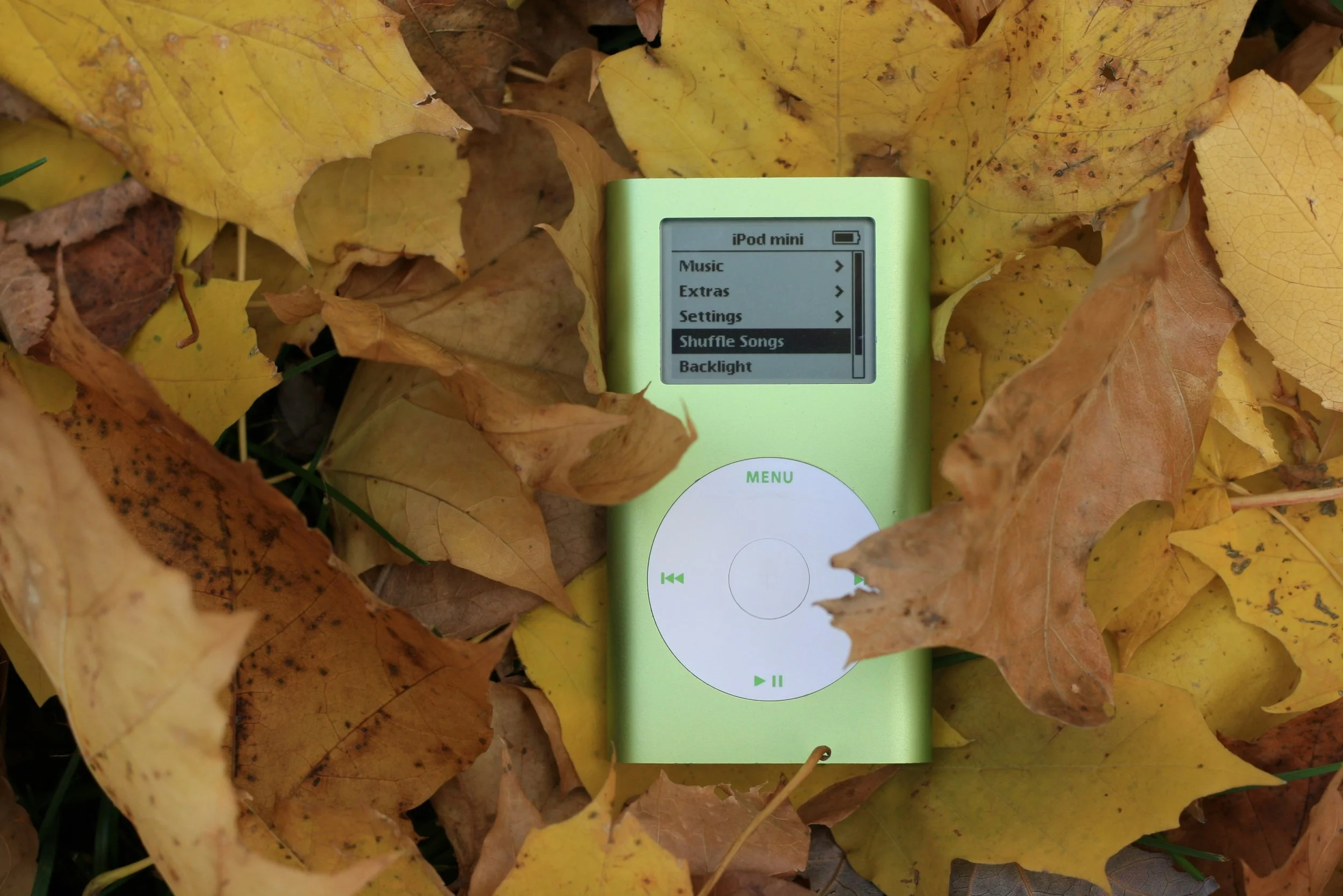A lime green iPod mini displaying the menu options: Music, Extras, Settings, Shuffle Songs, Backlight, on a bed of fallen yellow and brown autumn leaves.