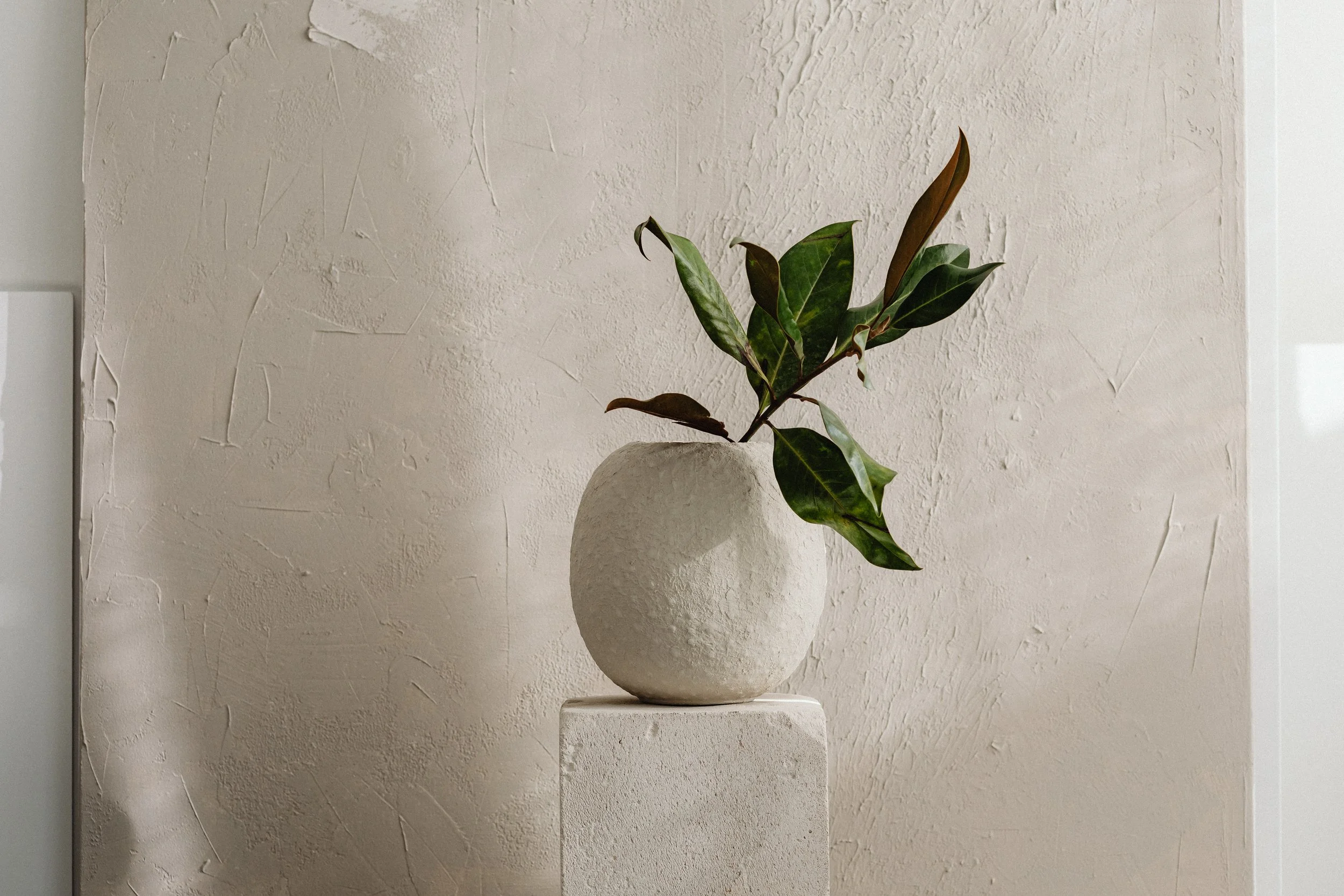 A green leafy plant in a textured white ceramic vase on a small pedestal against a rough, light-colored wall.