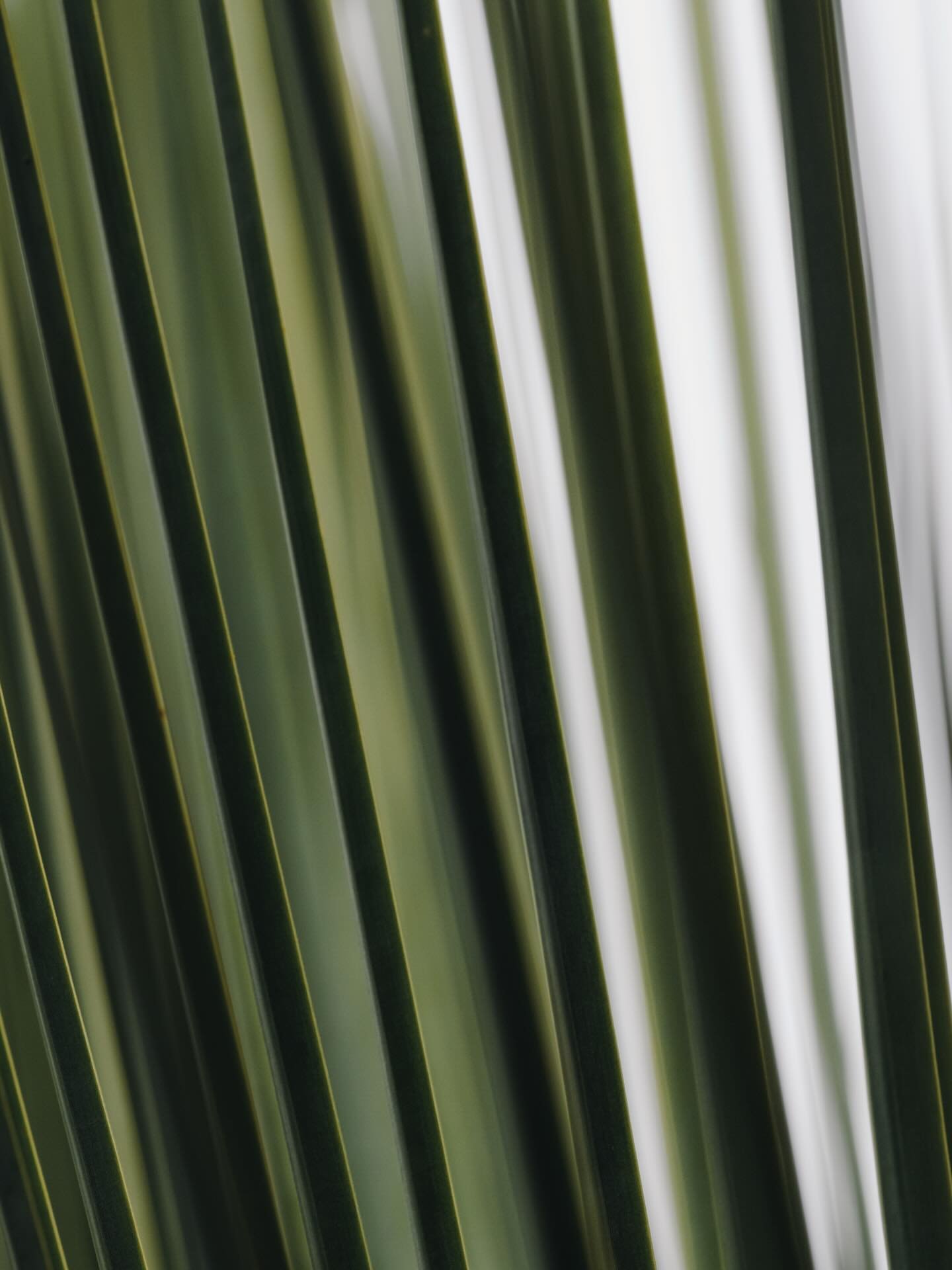 Quiet and Peaceful

#nature #fujifeed #calm