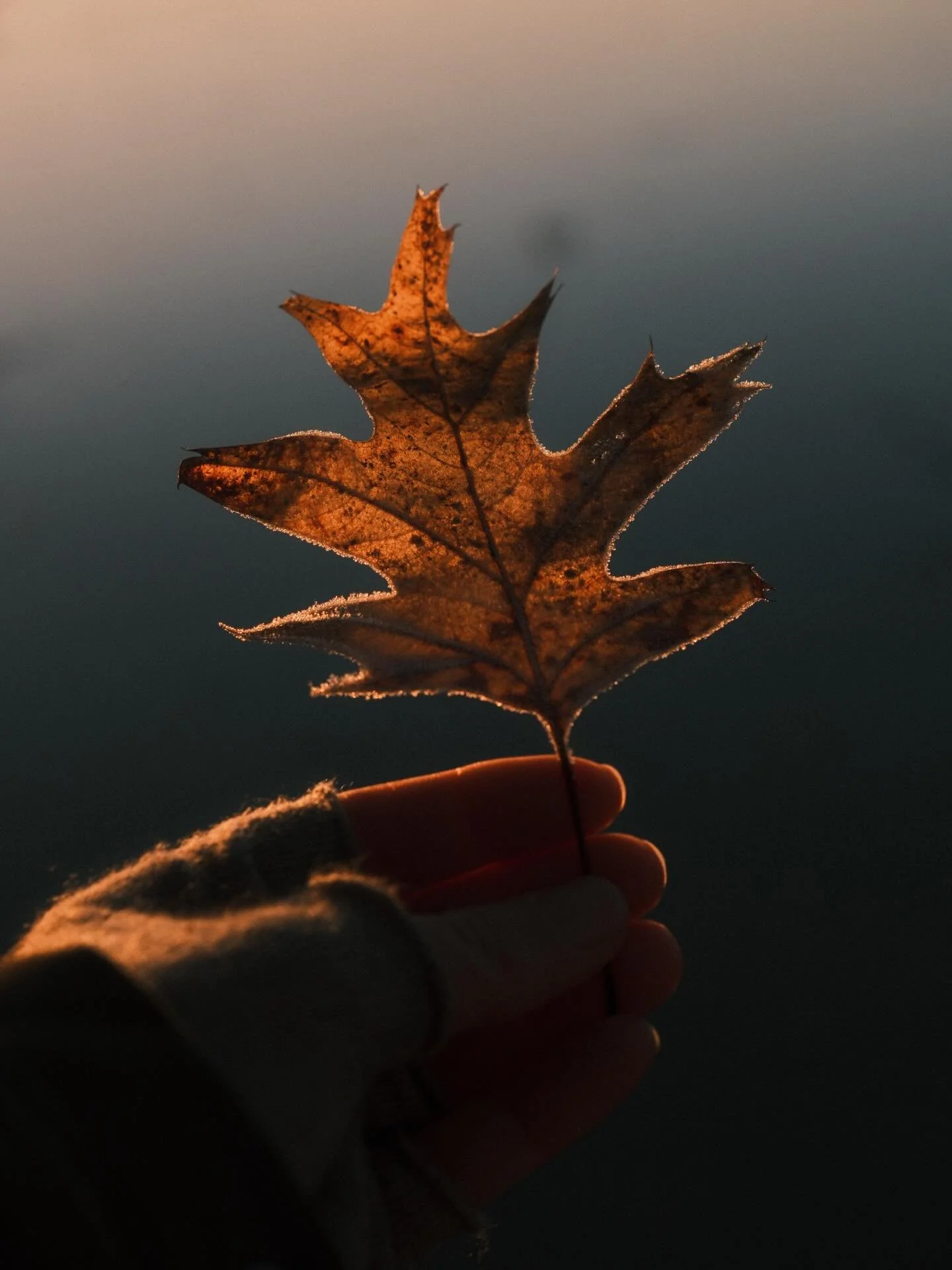 Autumn tones in a winter sunset 🍁
A quiet walk at the lake, enjoying the calm of winter as the sun sets and paints nature with warm, beautiful colors.
Shot SOOC &mdash; and honestly, this is what I love about Fujifilm: photos that feel just right wi