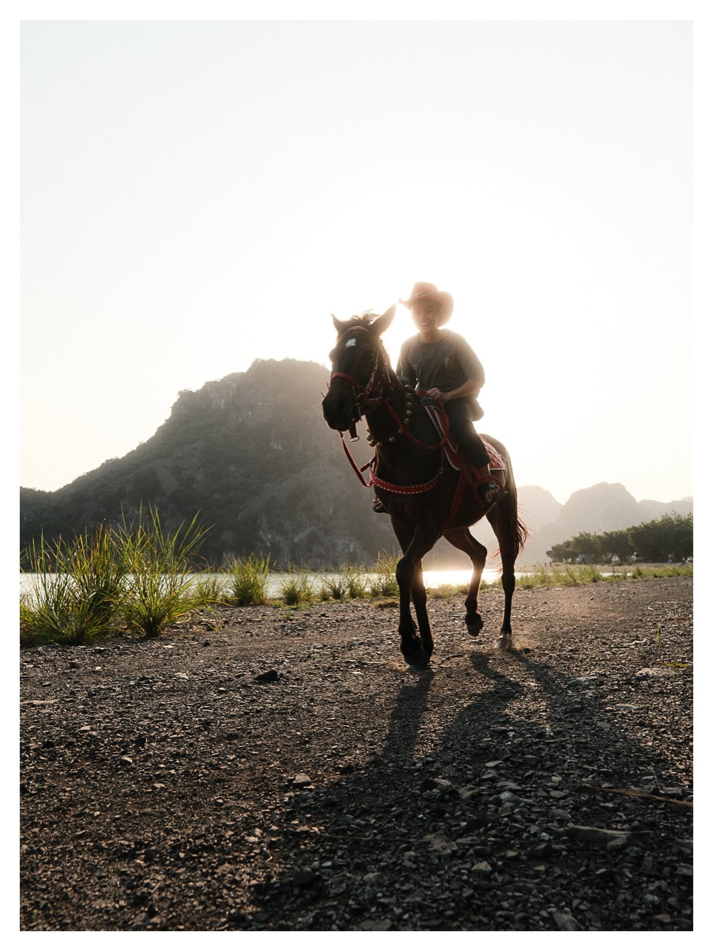 The Horse Rider 

FR
C&rsquo;&eacute;tait en fin de journ&eacute;e &agrave; Ninh Binh. Le soleil se couchait derri&egrave;re le karst, la lumi&egrave;re rasait tout. Le cheval a boug&eacute; exactement au bon moment &mdash; ou c&rsquo;est moi qui ai 