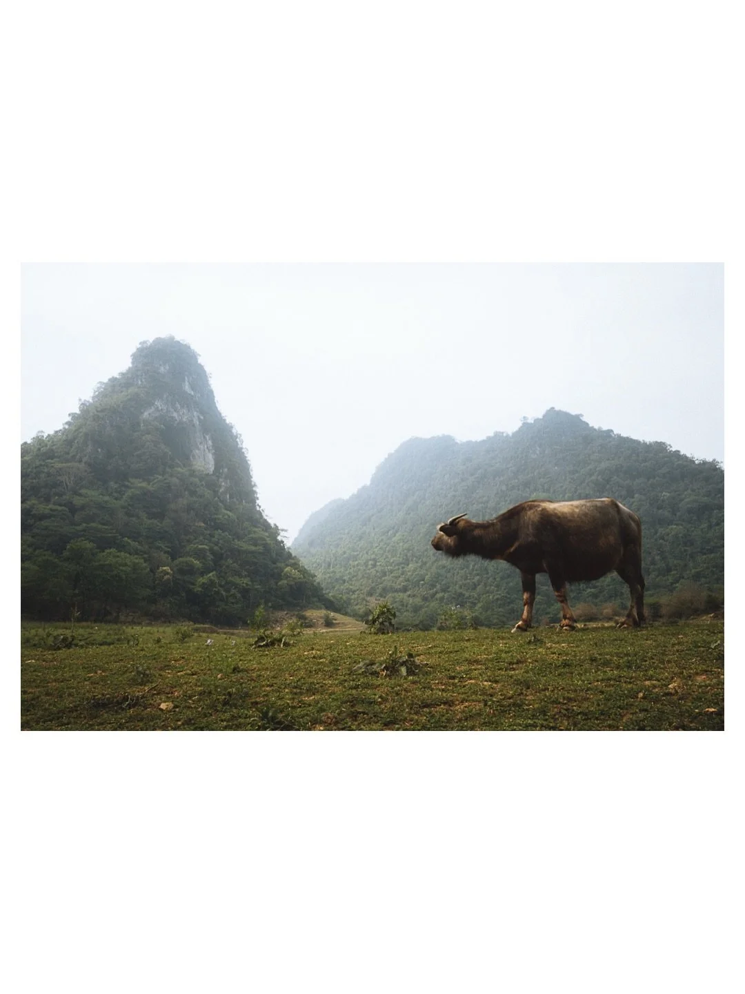 Too Good to Crop

FR
Instagram veut du portrait. Vertical, optimis&eacute;. Ok.
Sauf que certaines photos naissent en paysage, et les forcer dans un cadre vertical c&rsquo;est trahir ce qu&rsquo;elles racontent. Le buffle dans la plaine, l&rsquo;atel