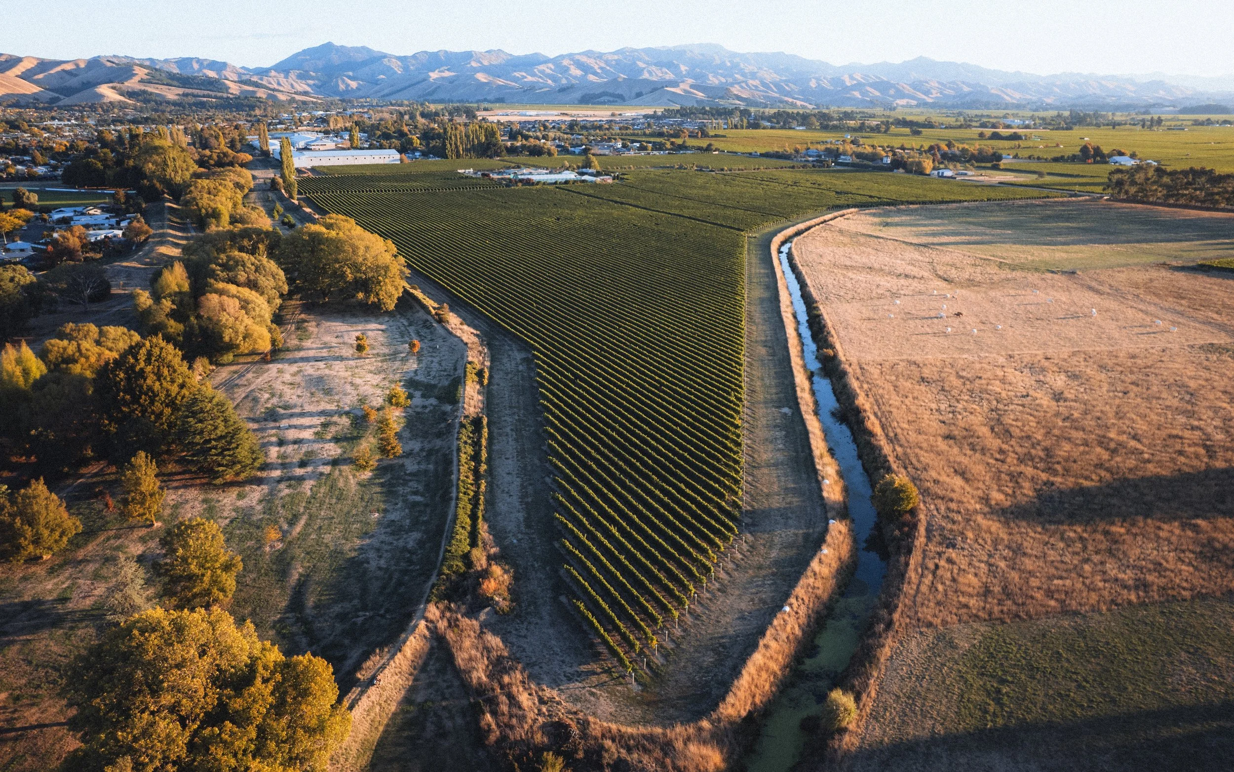 Vue aérienne d'une région rurale avec des champs agricoles, un vignoble verdoyant, des collines en arrière-plan, et un petit drain qui serpente entre les terres. Blenheim, Nouvelle-Zélande