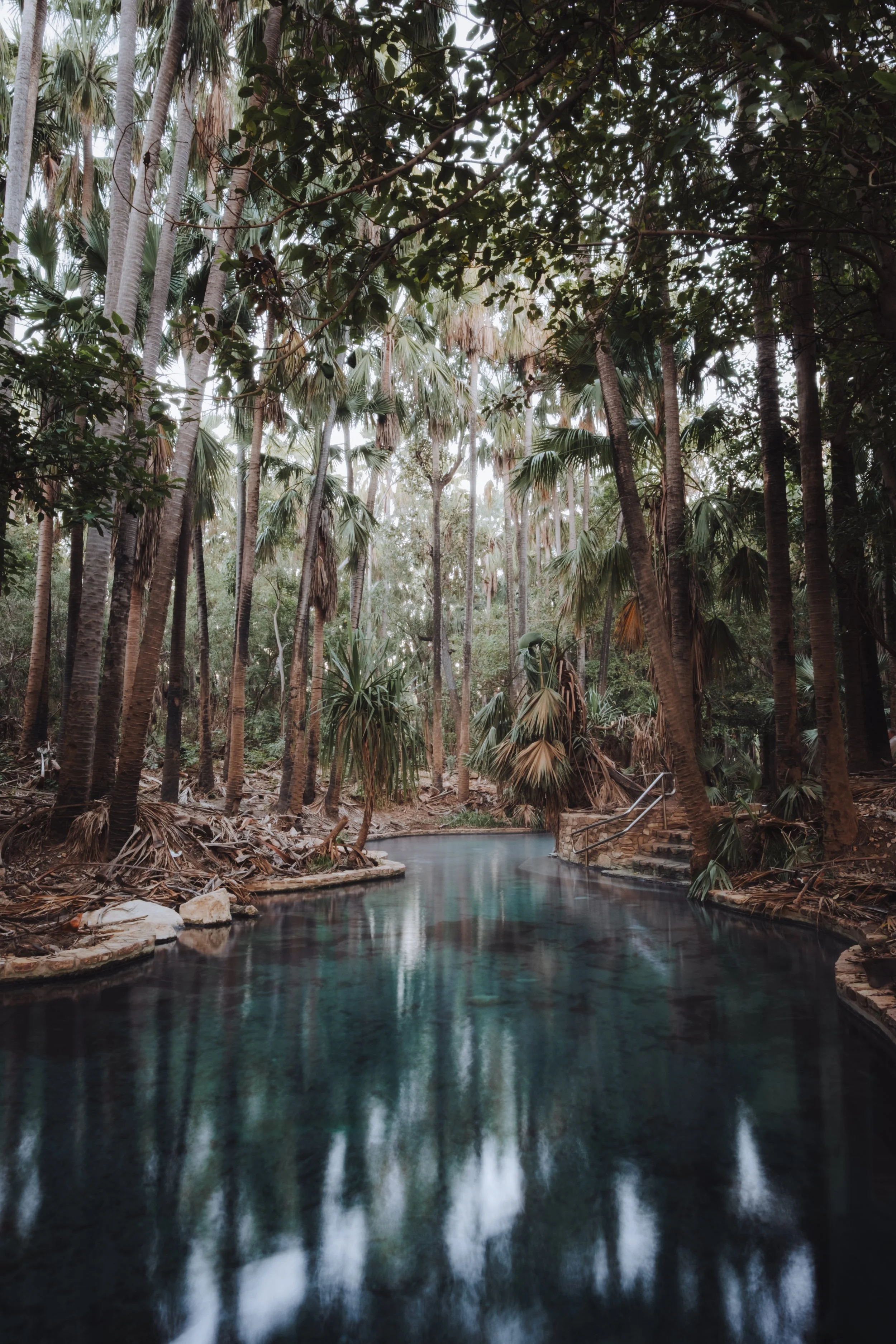 Une piscine noire dans une forêt tropicale dense, entourée de palmier et de végétation luxuriante.