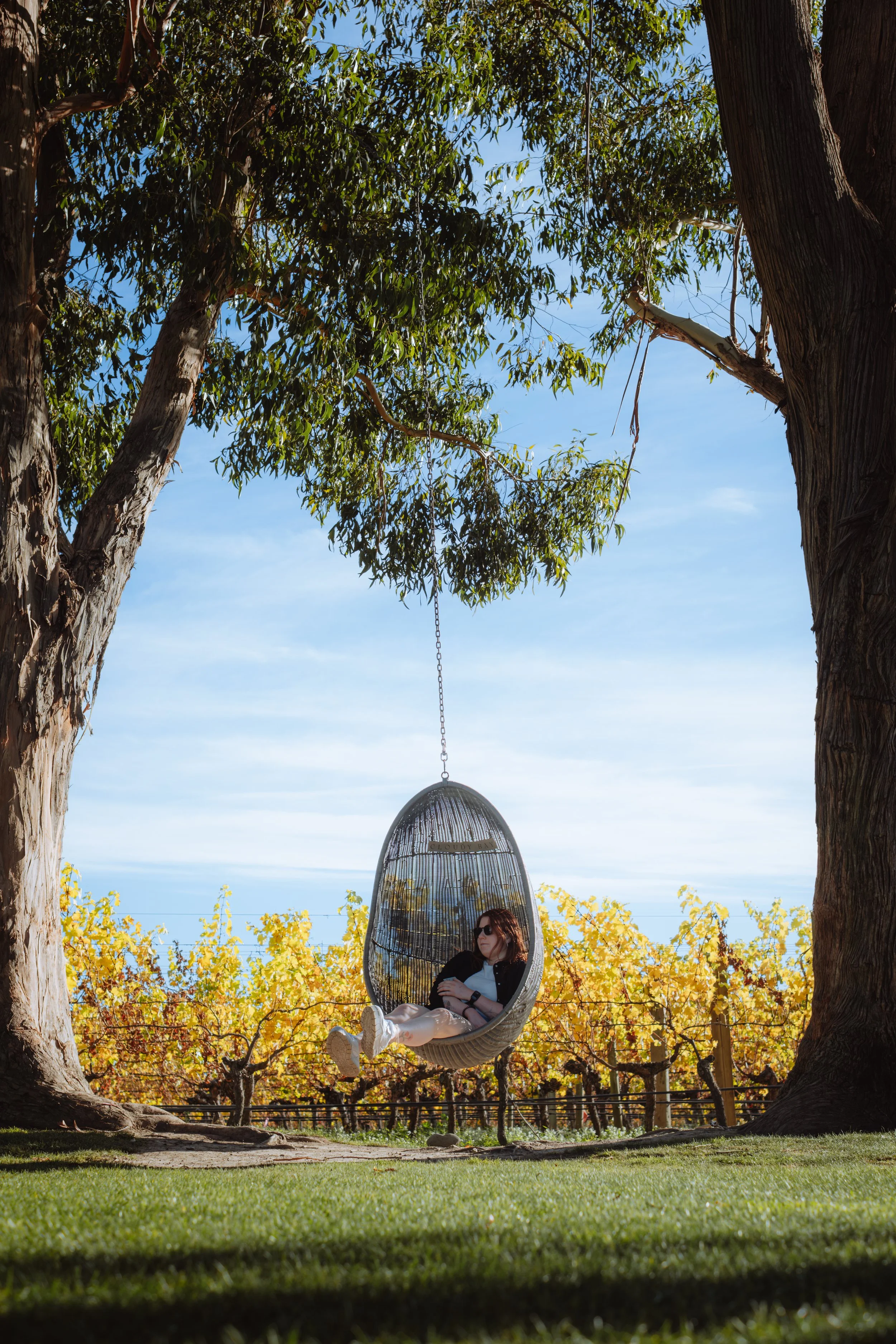 Une femme assise dans une chaise suspendue en forme d'œuf, suspendue entre deux grands arbres, dans un vignoble avec des feuilles dorées, par une journée ensoleillée.