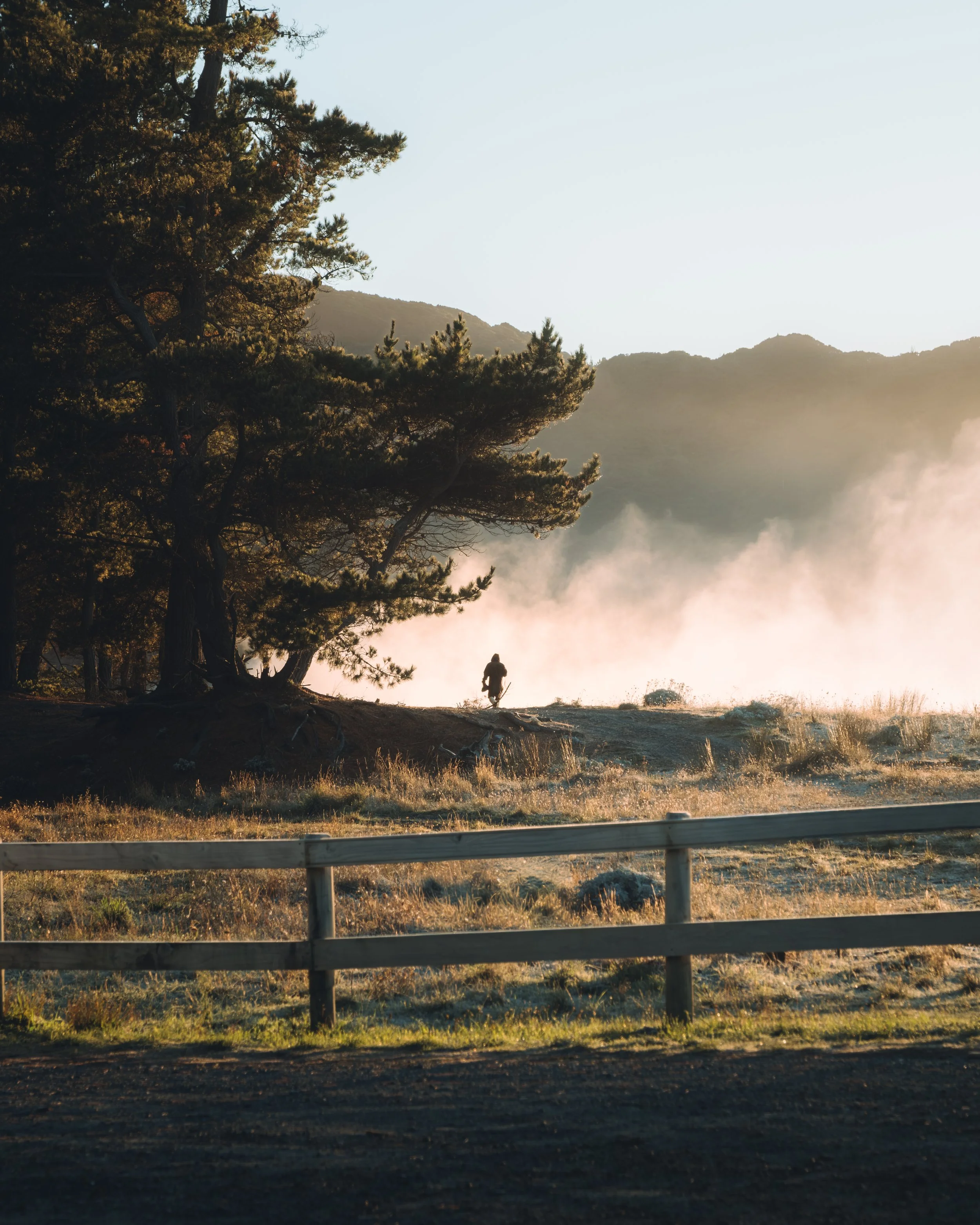 Un paysage naturel avec des arbres, de la brume ou de la vapeur, et une personne marchant au loin au coucher du soleil.